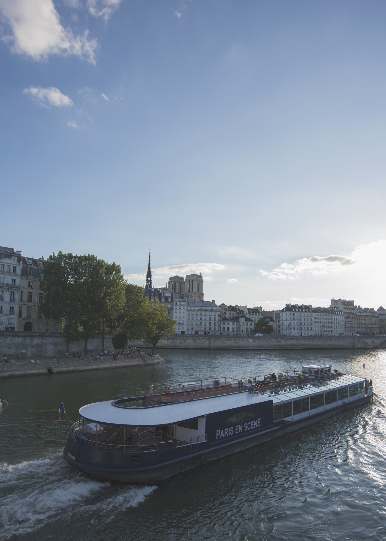 Nikon D810 sample photo. Strolling around the seine photography