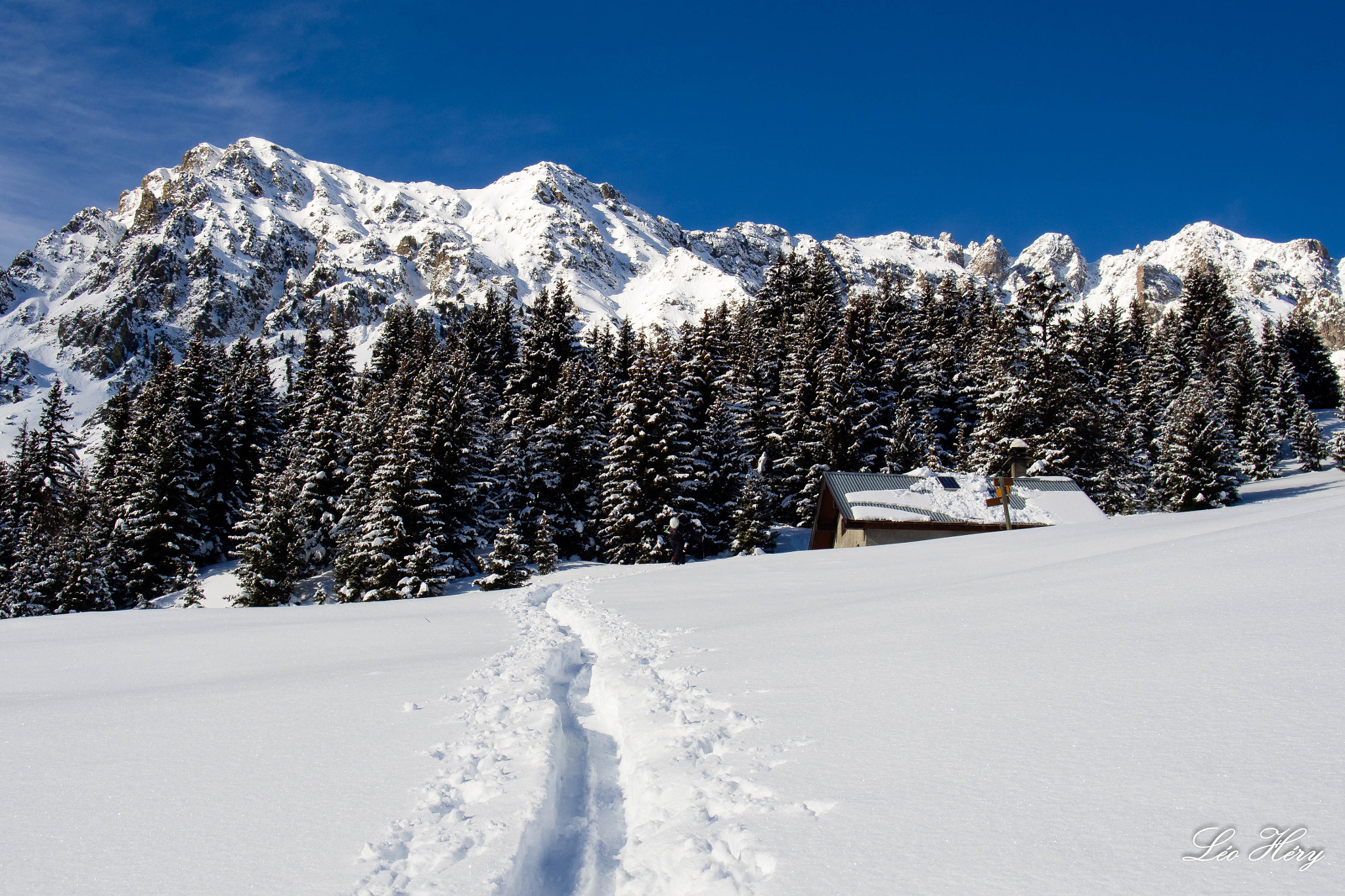 Olympus OM-D E-M5 sample photo. Powpow au chazau photography