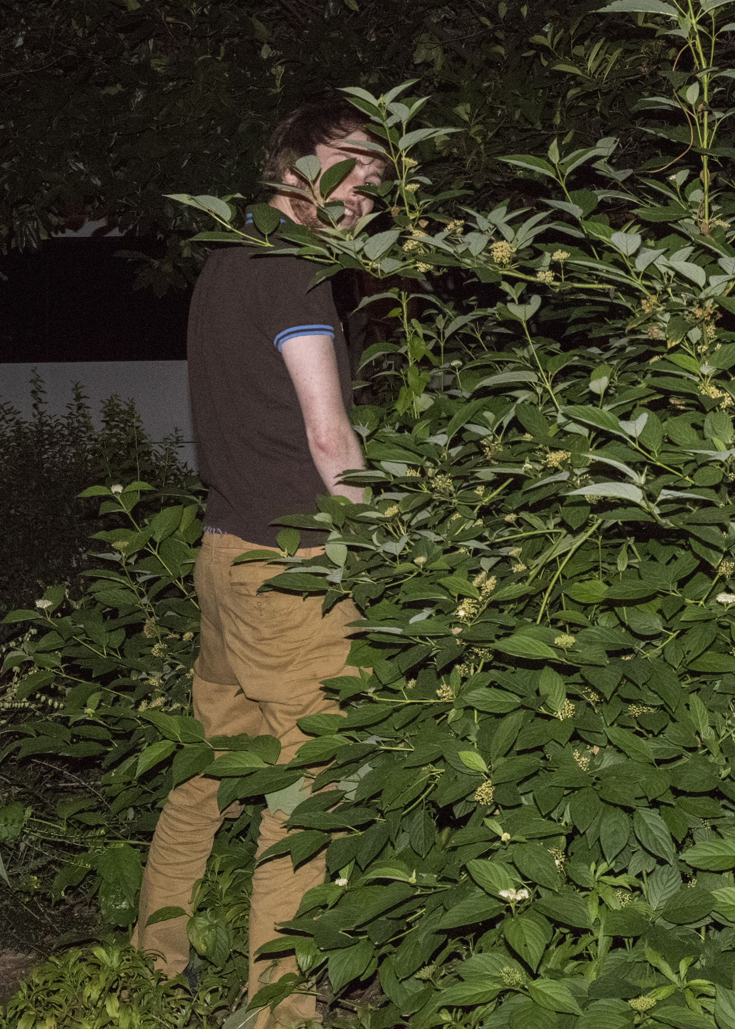 Nikon D810 sample photo. Public urination on the seine photography