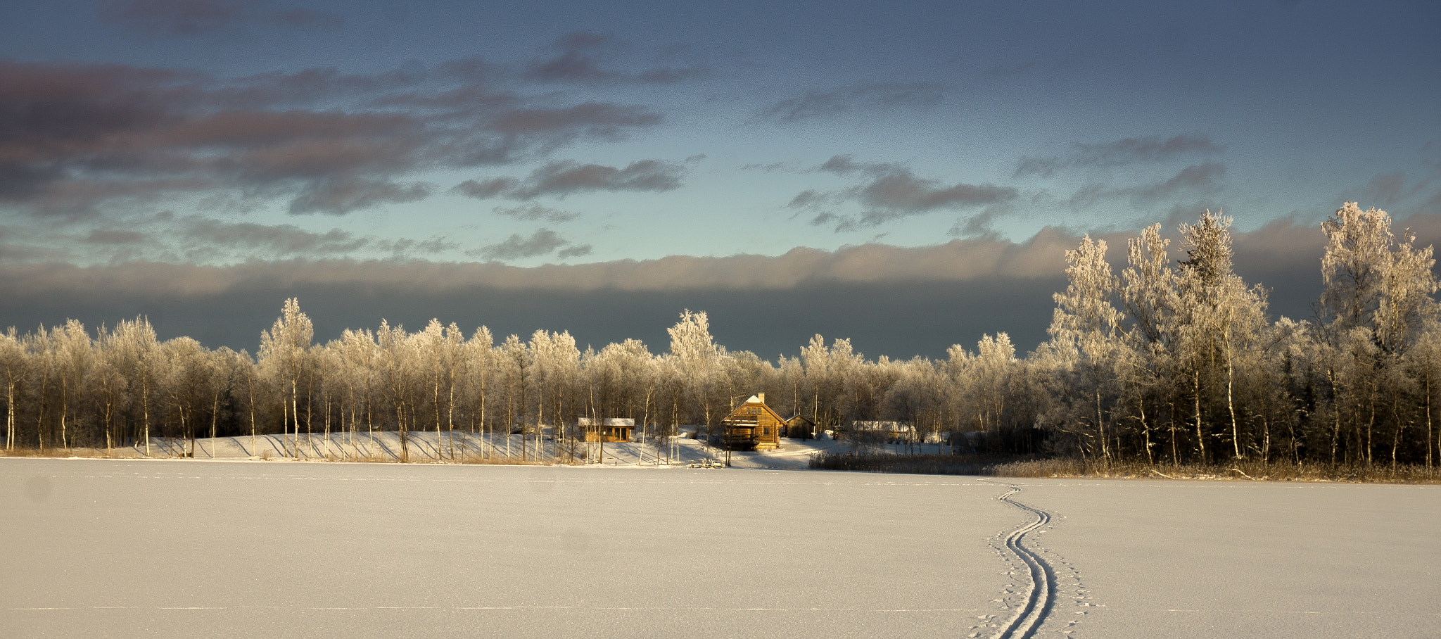 Sony Alpha NEX-5N sample photo. My home photography