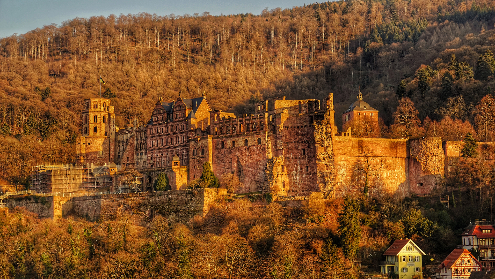 Sony a7R + Sony Vario Tessar T* FE 24-70mm F4 ZA OSS sample photo. Heidelberger schloss photography