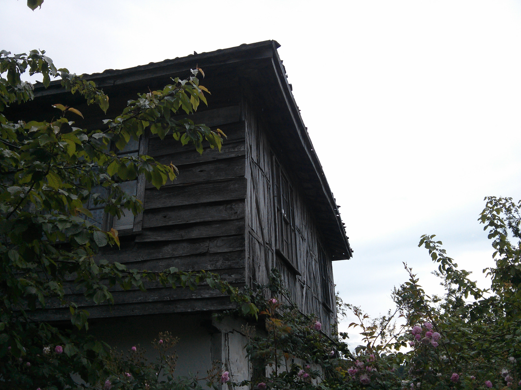 LG Nexus 4 sample photo. Agva photography