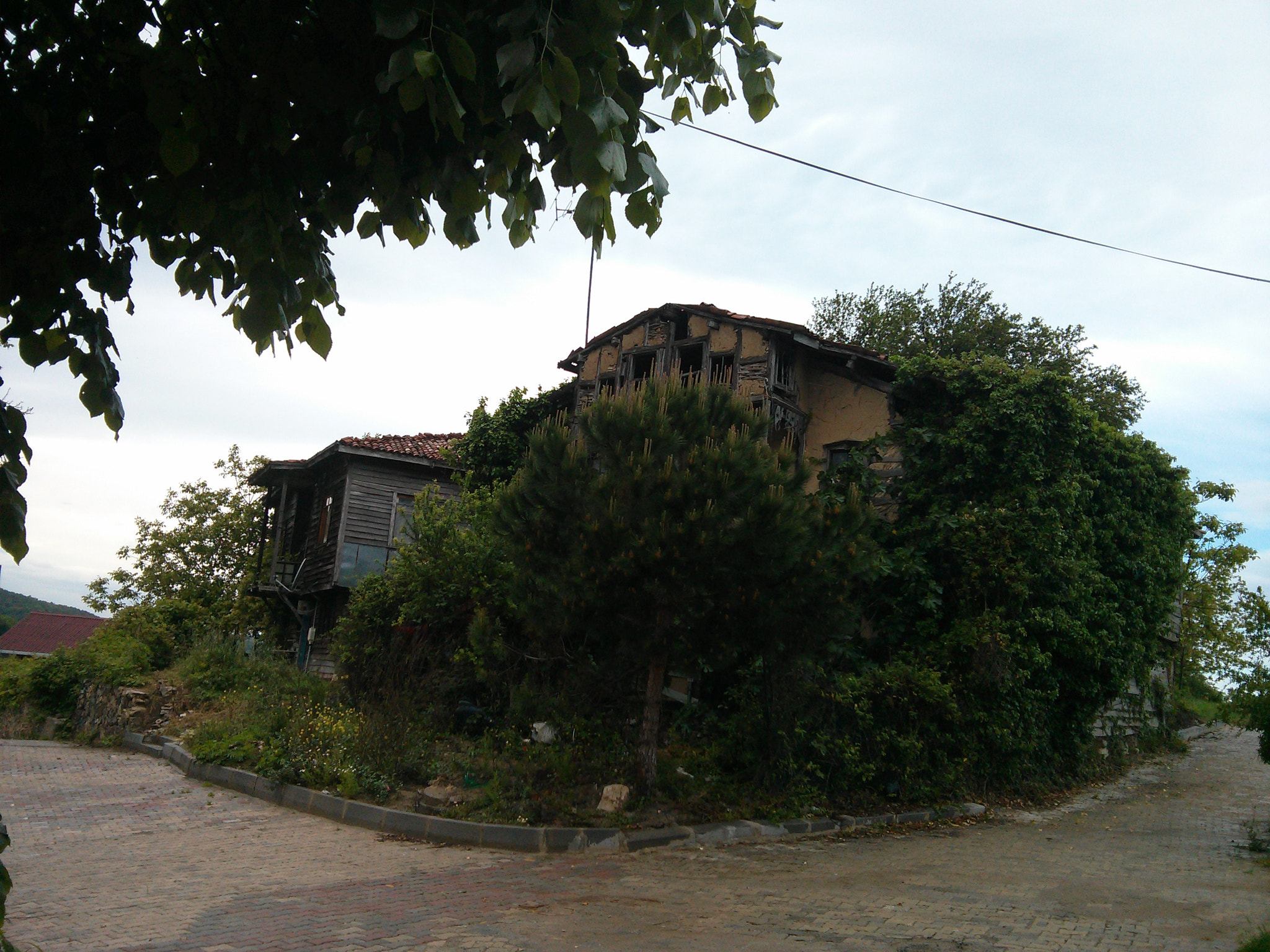 LG Nexus 4 sample photo. Agva photography