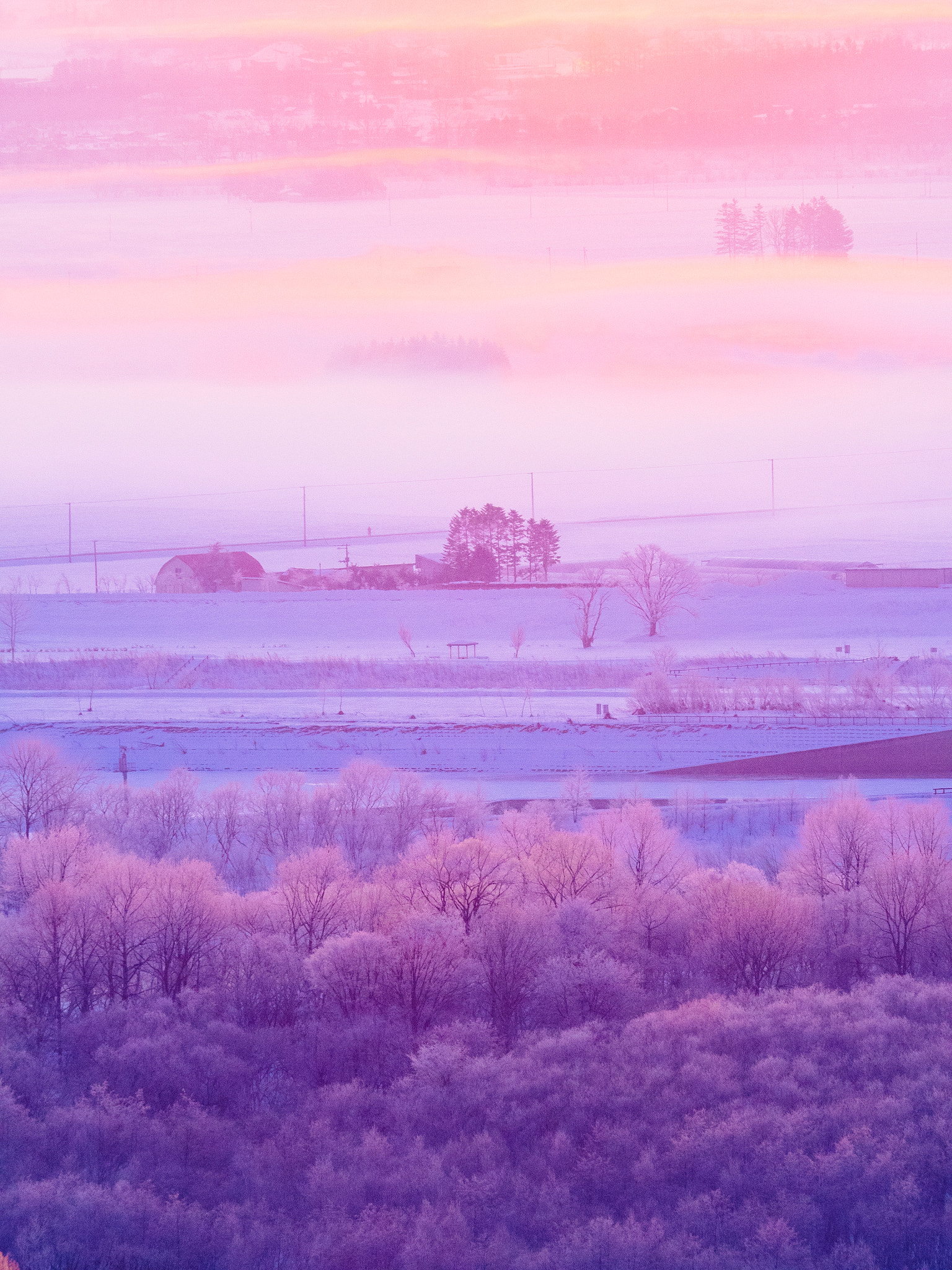 Olympus OM-D E-M1 + Olympus M.Zuiko Digital ED 40-150mm F2.8 Pro sample photo. Hokkaido photography