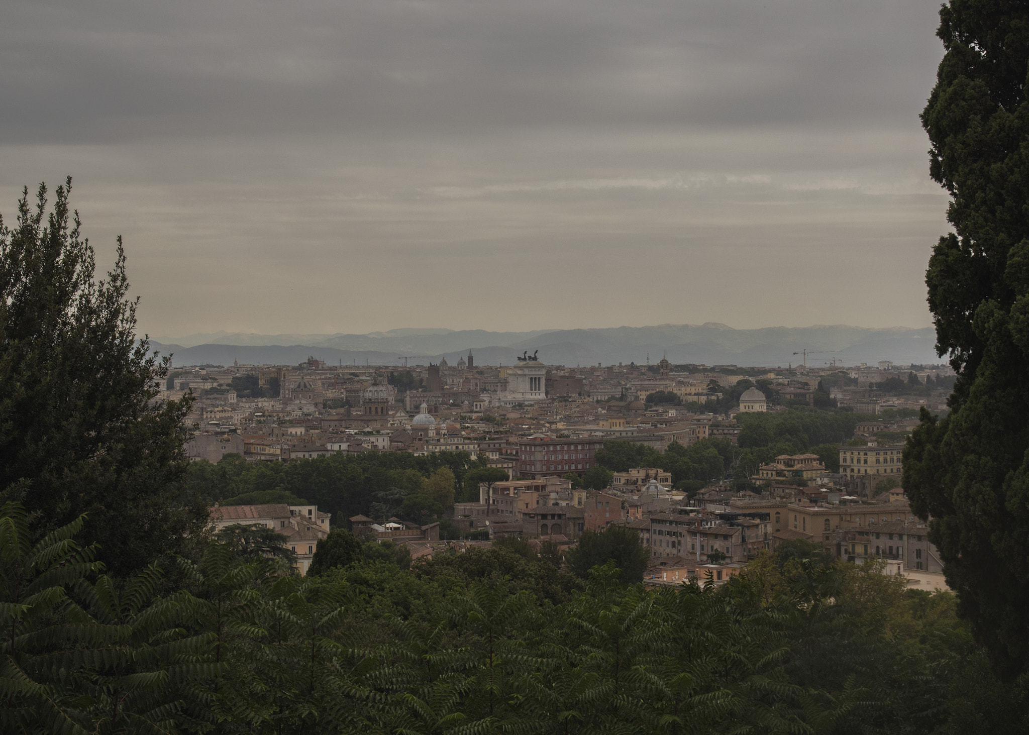 Nikon D810 sample photo. Top of rome photography