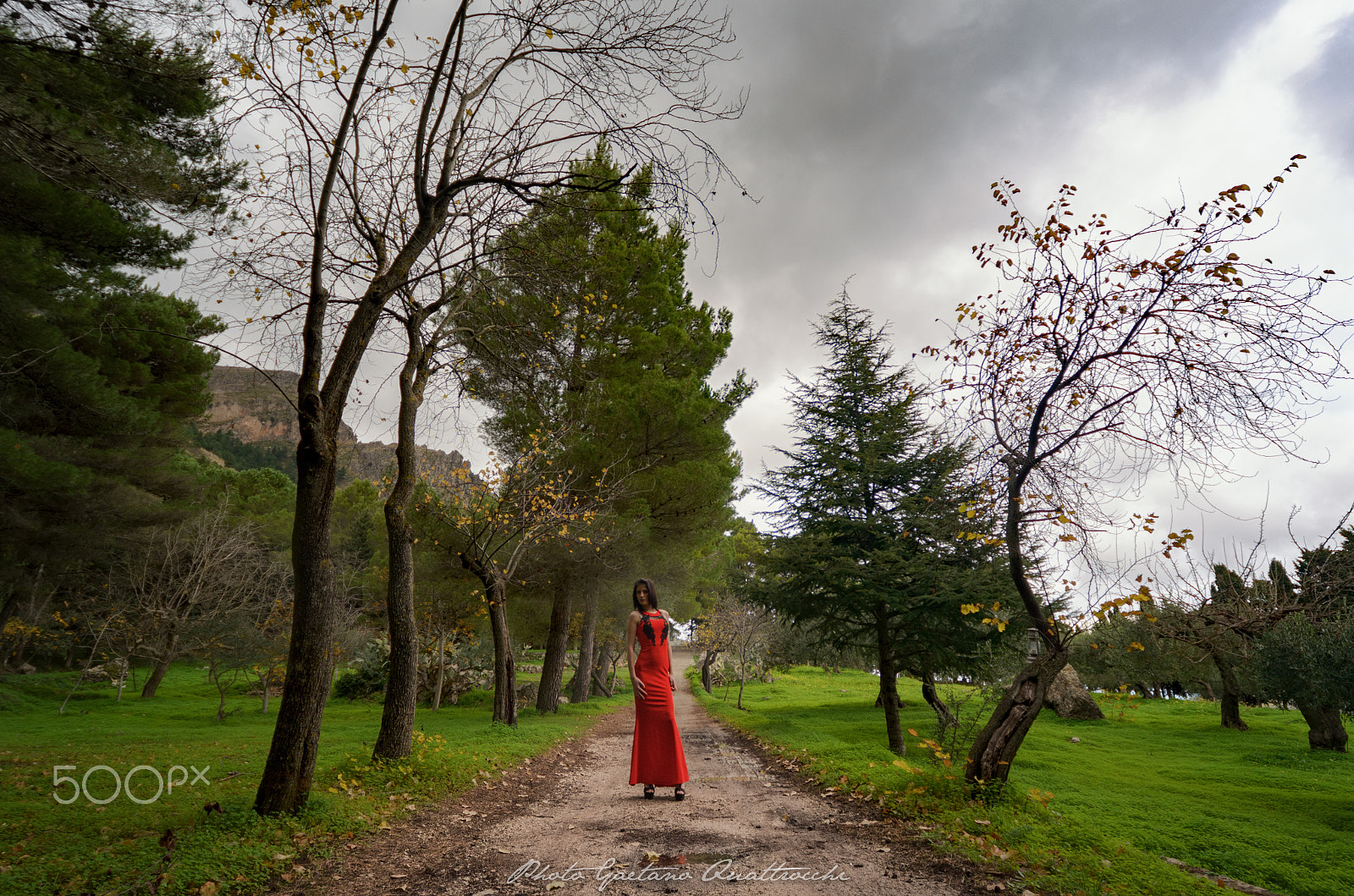 Sigma 12-24mm F4.5-5.6 EX DG Aspherical HSM sample photo. Shooting rossella photography