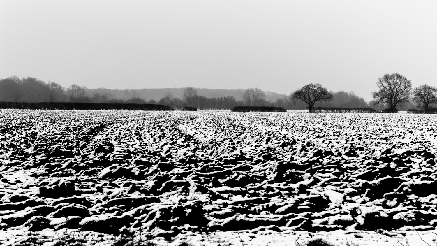 Nikon D3200 sample photo. Norfolk winter #2 photography