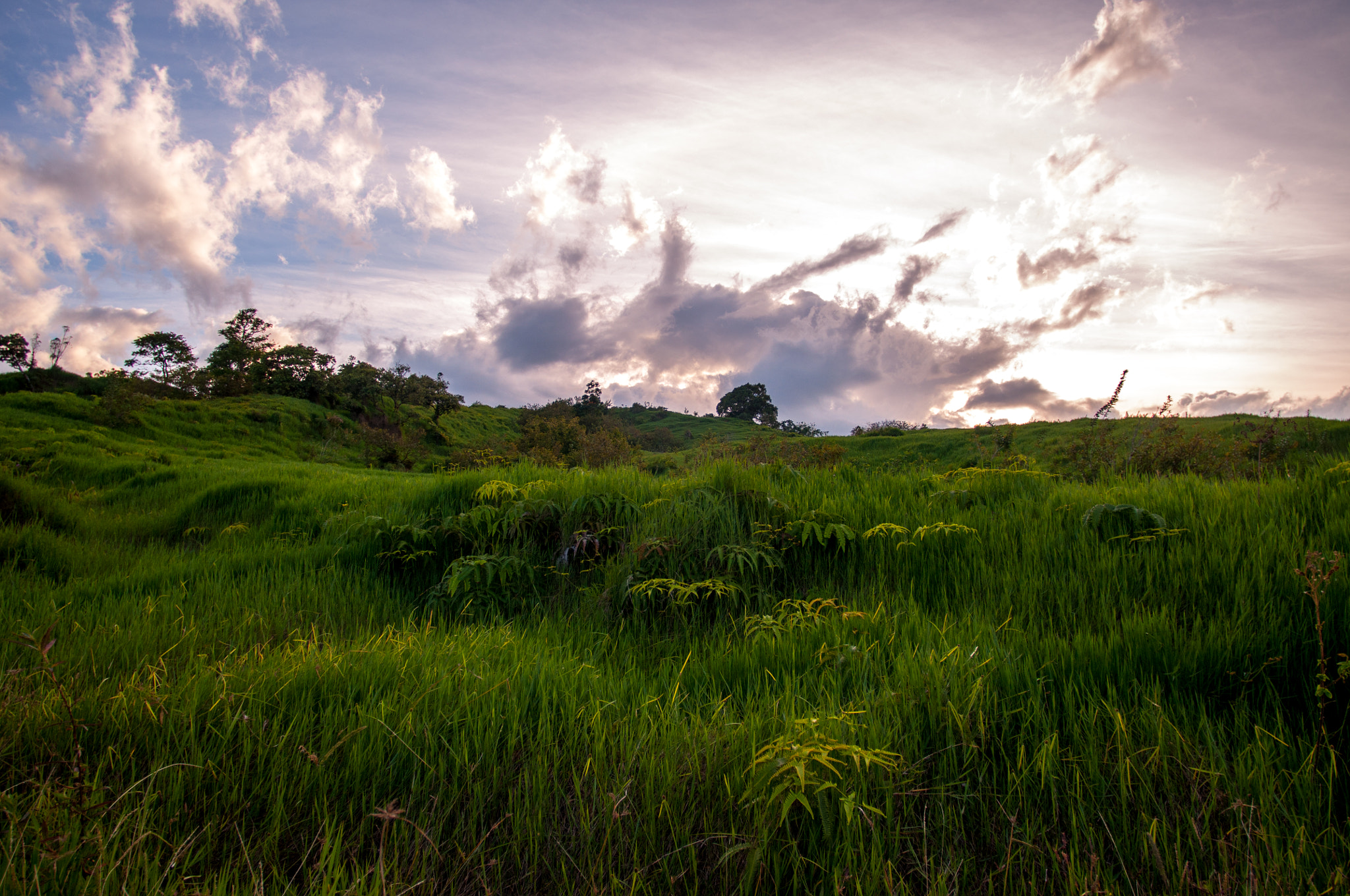 Nikon D90 + Nikon AF Nikkor 14mm F2.8D ED sample photo. Maui hawaii photography