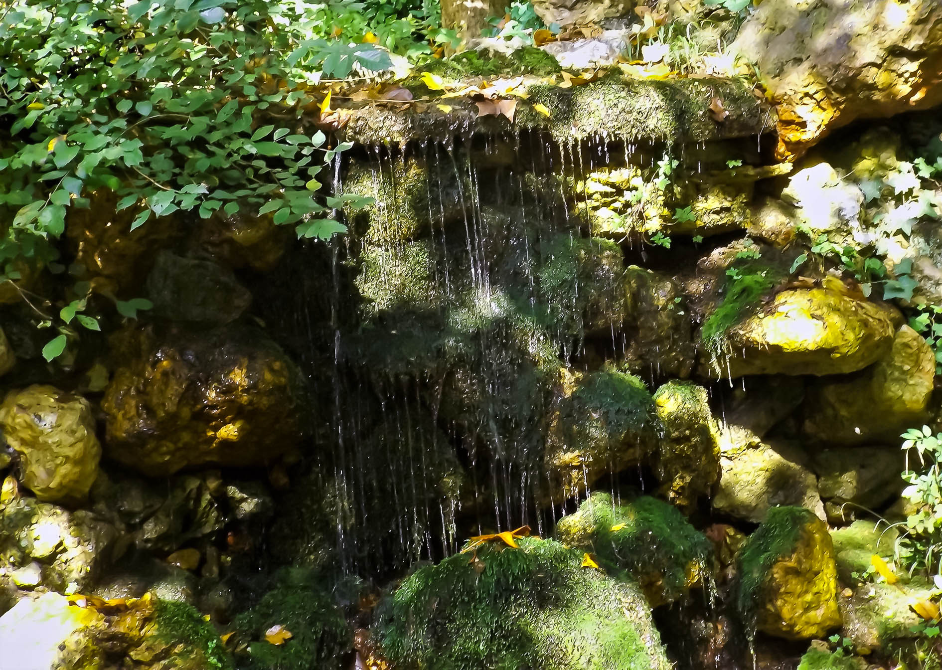 Fujifilm FinePix S4600 sample photo. Micro cascade 2 photography