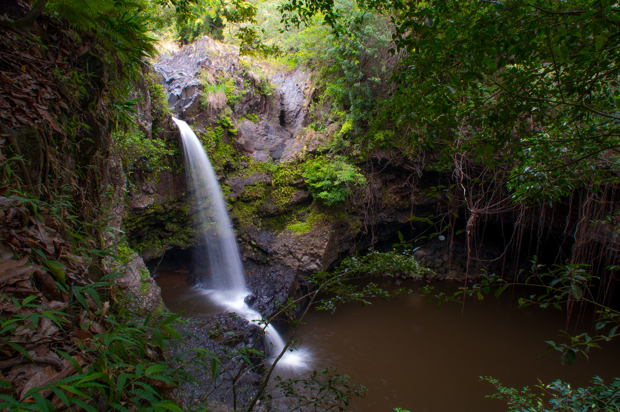 Nikon D90 sample photo. Maui hawaii photography