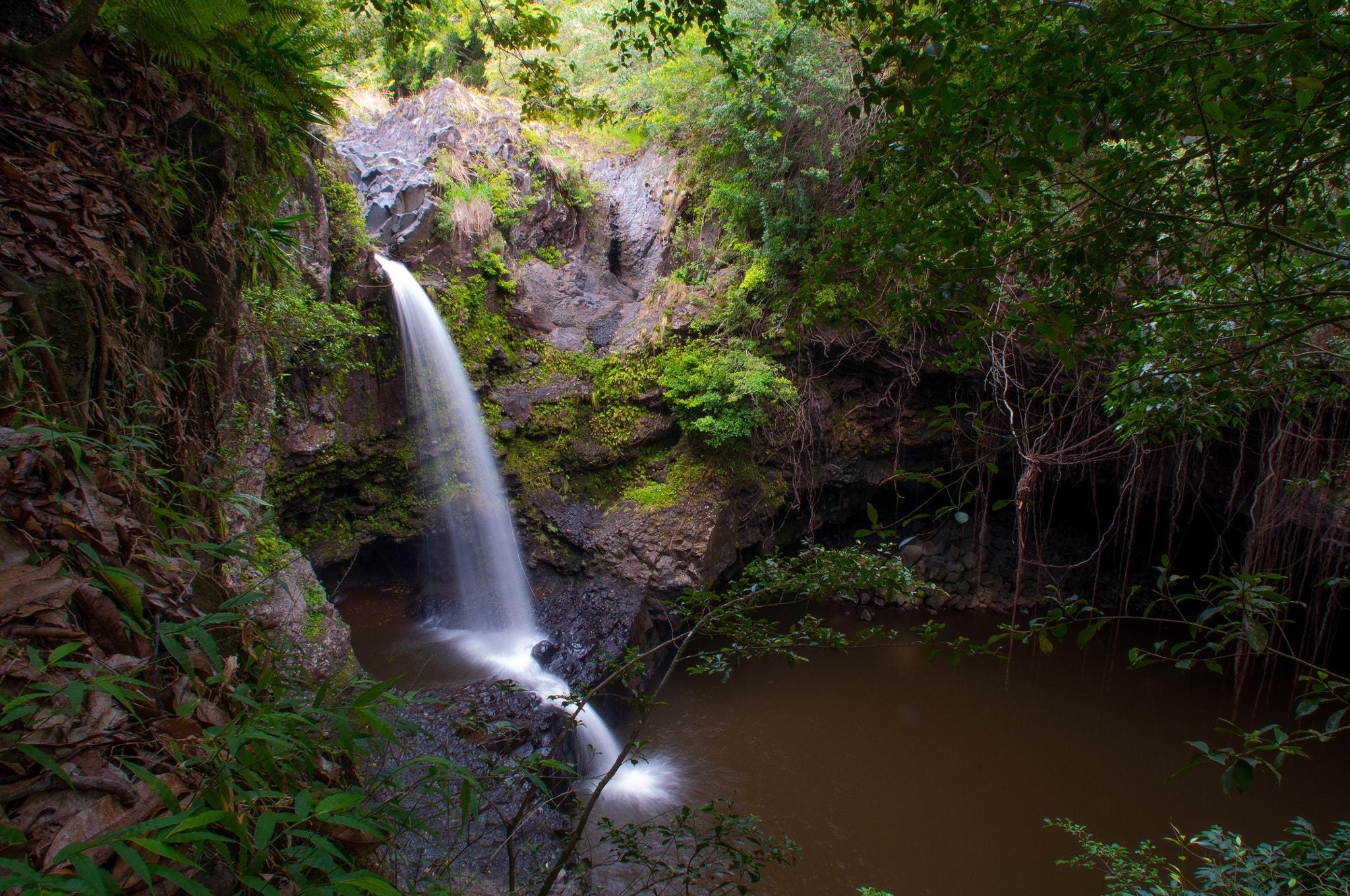 Nikon D90 + Nikon AF Nikkor 14mm F2.8D ED sample photo. Maui hawaii photography