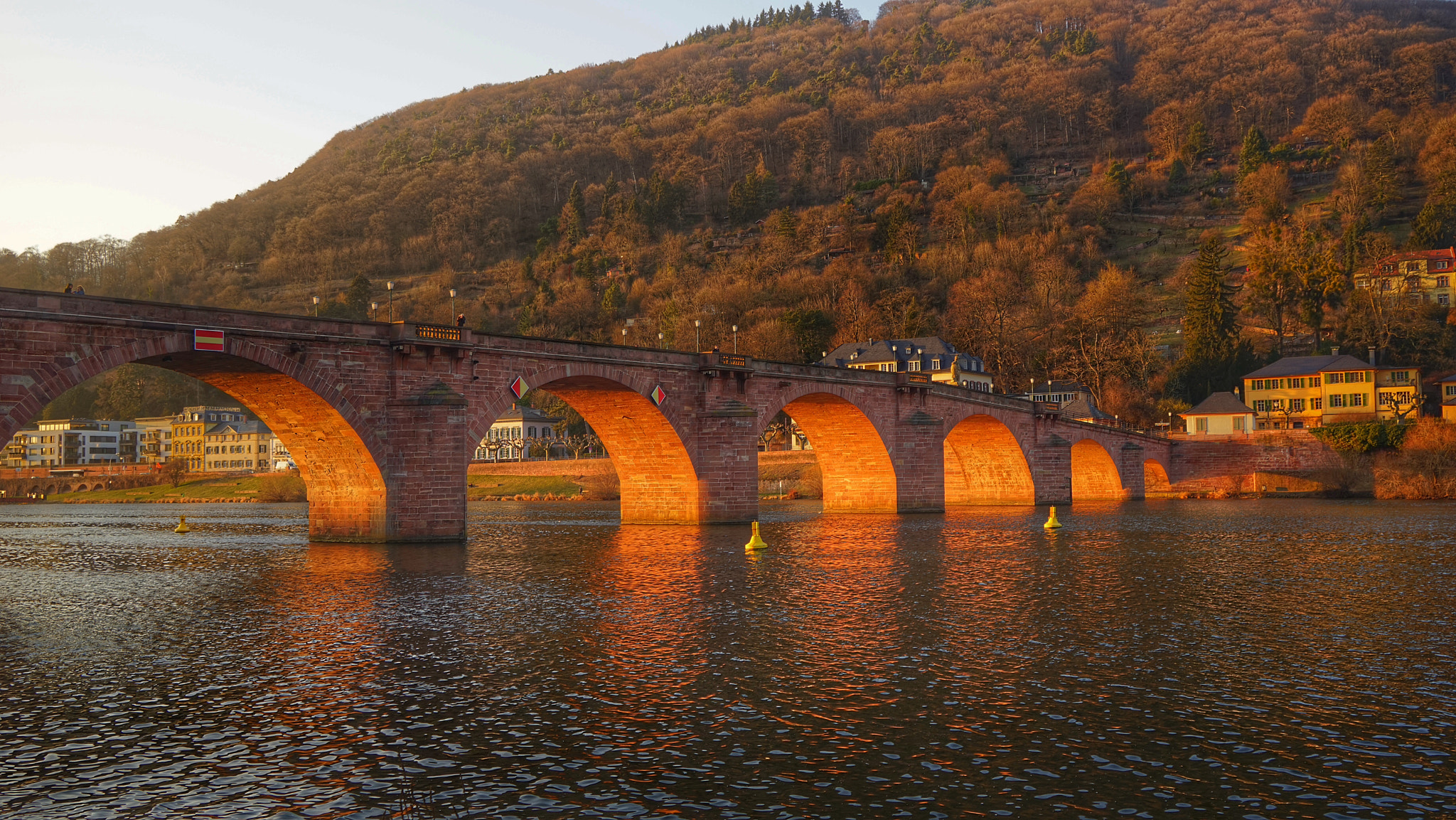Sony a7R + Sony Vario Tessar T* FE 24-70mm F4 ZA OSS sample photo. Alte brücke in heidelberg photography
