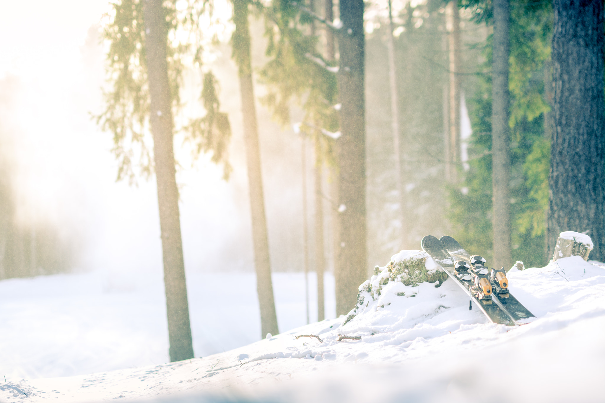 Nikon D5200 + Sigma 50mm F1.4 DG HSM Art sample photo. Mountain skis at sunset in snowy forest photography