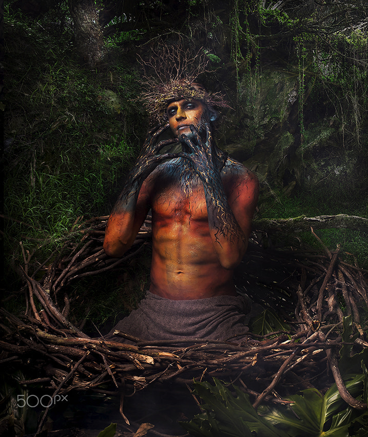 Nikon D4 sample photo. The forest king photography