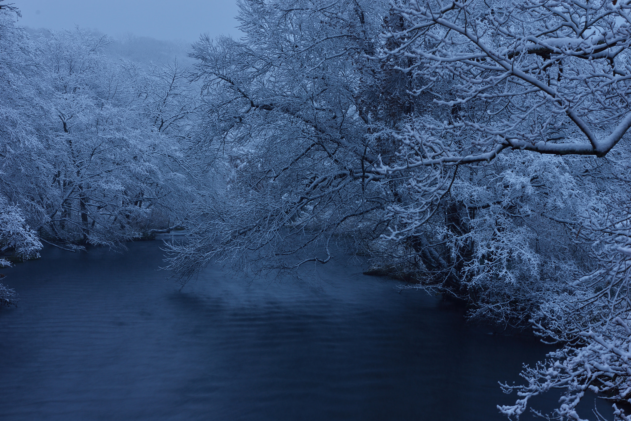 Sigma 70-200mm F2.8 EX DG OS HSM sample photo. Cold morning photography