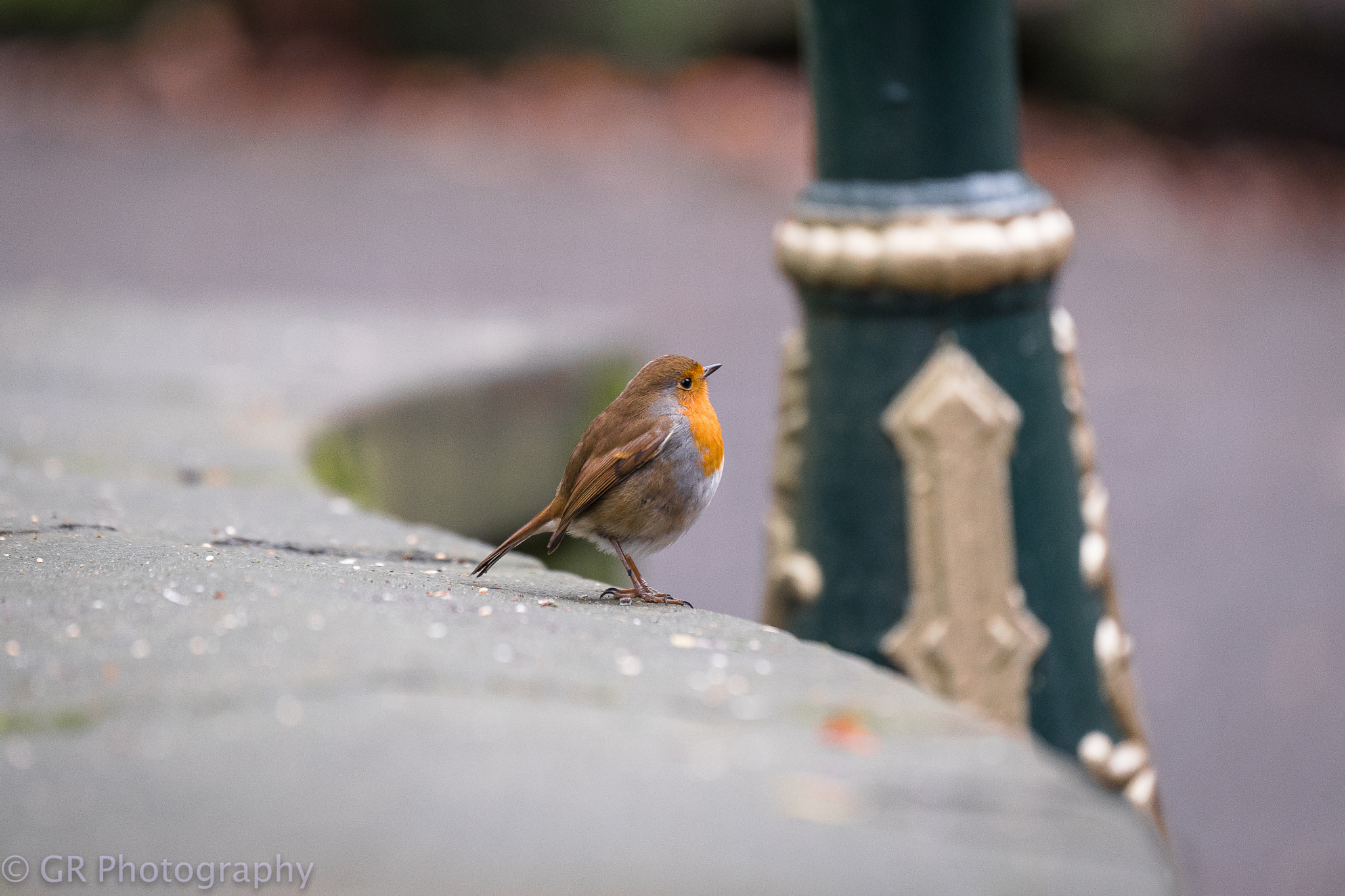 Tamron SP 70-200mm F2.8 Di VC USD sample photo