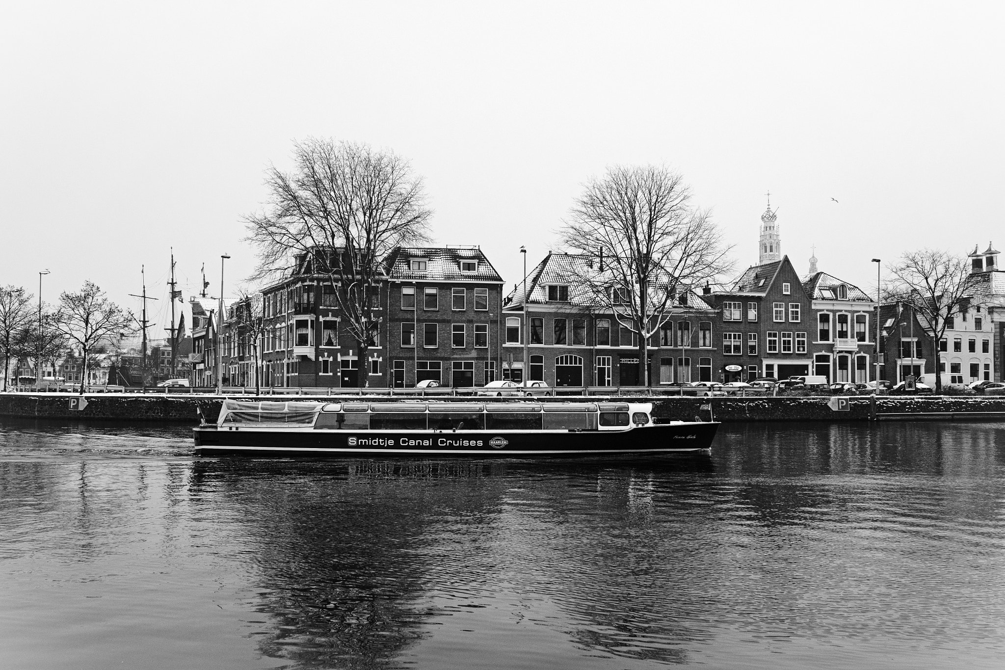 Nikon D500 sample photo. Frans hals photography