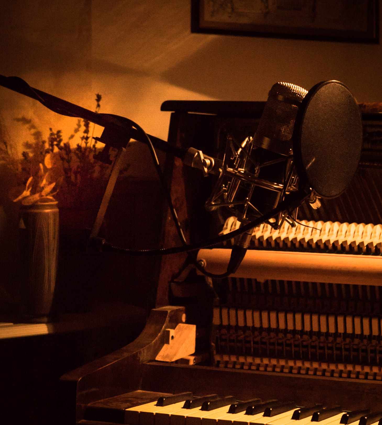 Sony a7S + Sony Vario Tessar T* FE 24-70mm F4 ZA OSS sample photo. New meets old photography