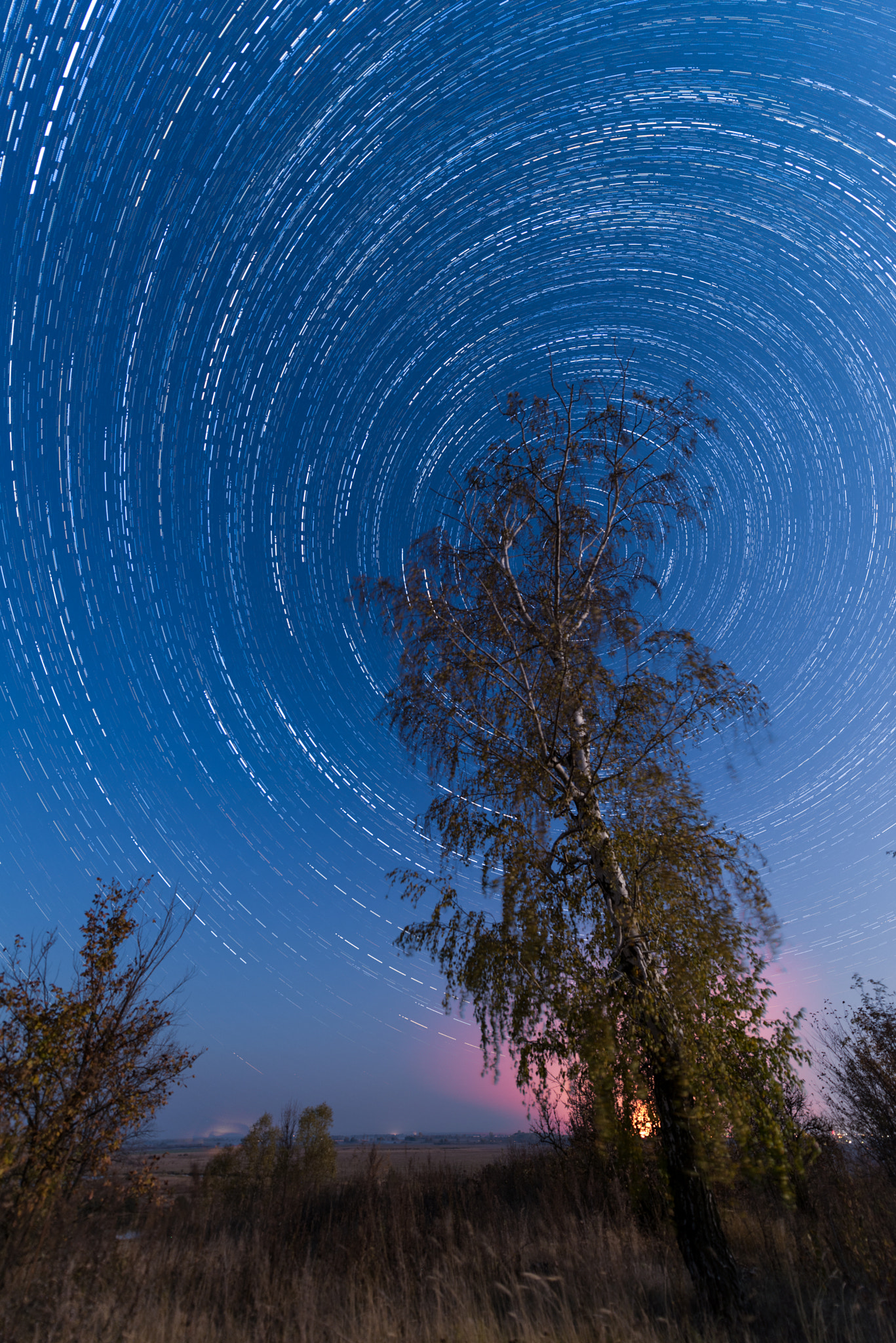 Nikon AF-S Nikkor 14-24mm F2.8G ED sample photo. Breach photography