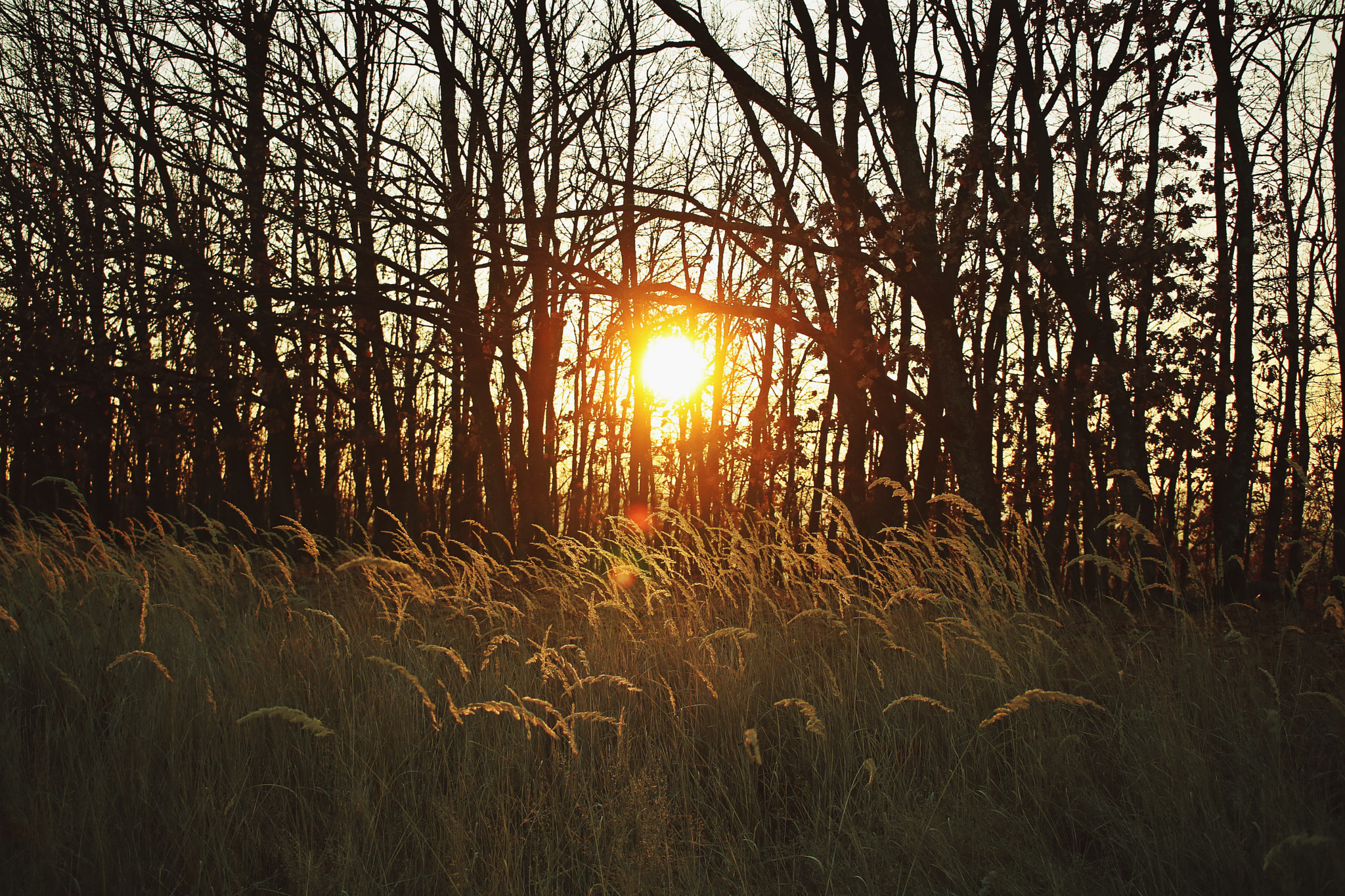 Canon EOS 760D (EOS Rebel T6s / EOS 8000D) sample photo. Sunset photography