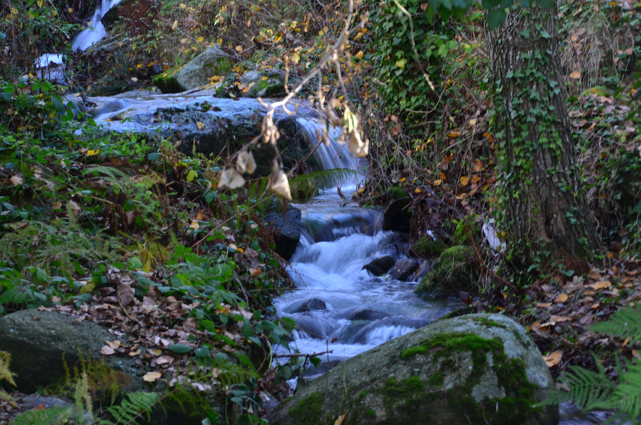Sigma 18-200mm F3.5-6.3 II DC OS HSM sample photo. Torrente photography