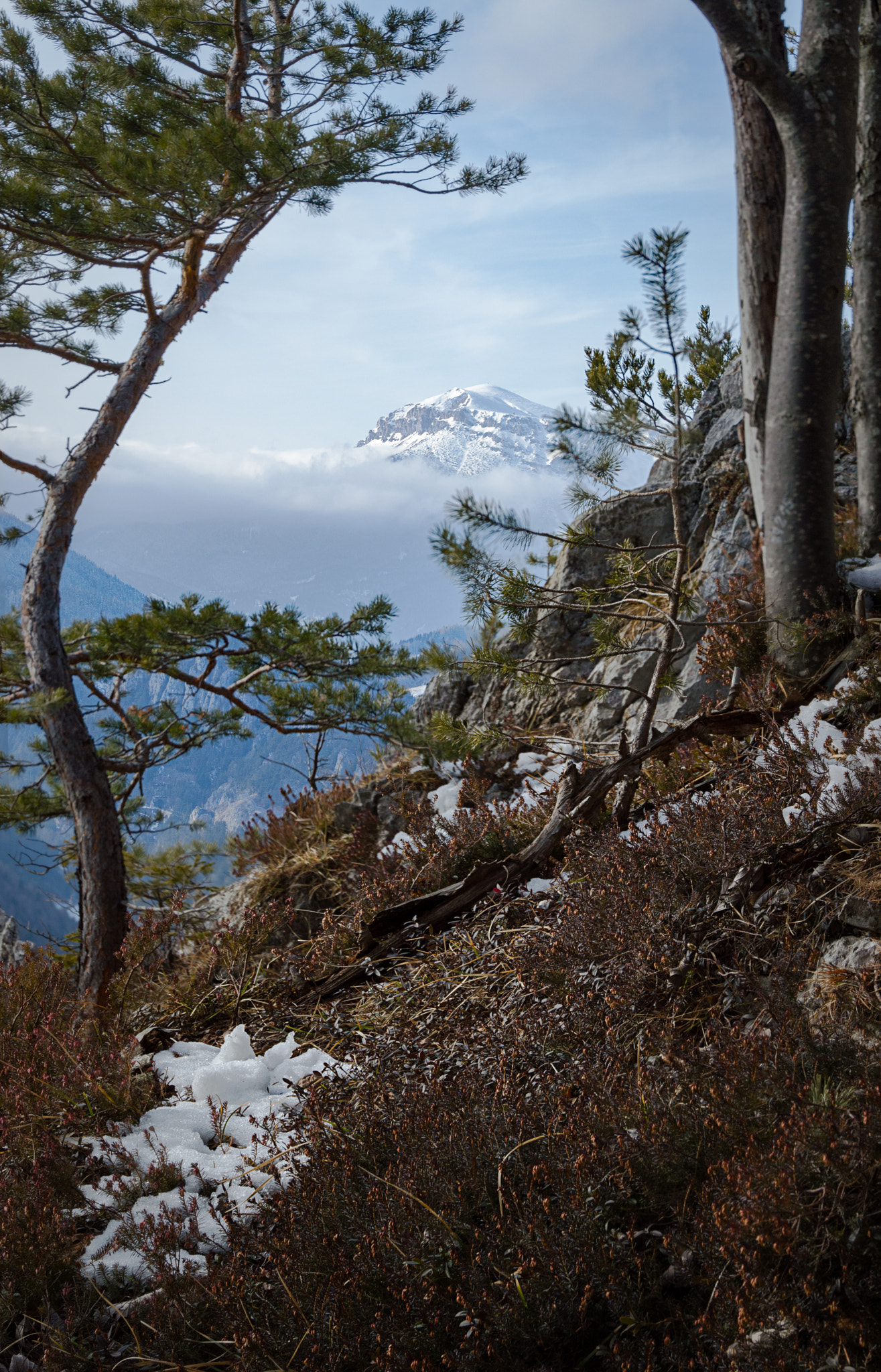 Nikon D3200 + Sigma 24-105mm F4 DG OS HSM Art sample photo. Schneeberg peek photography