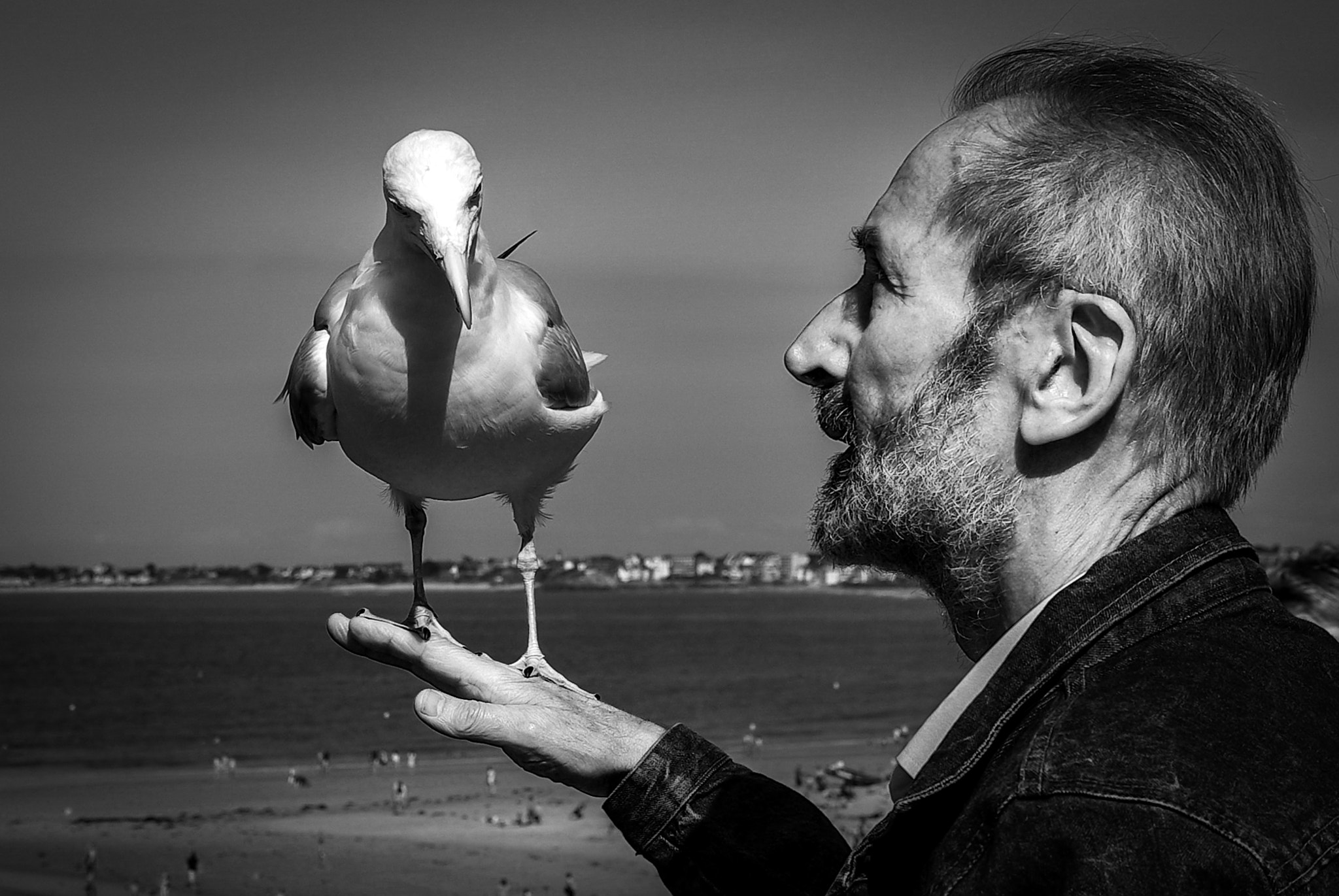 Pentax K10D sample photo. L'homme qui parle aux goélands... photography