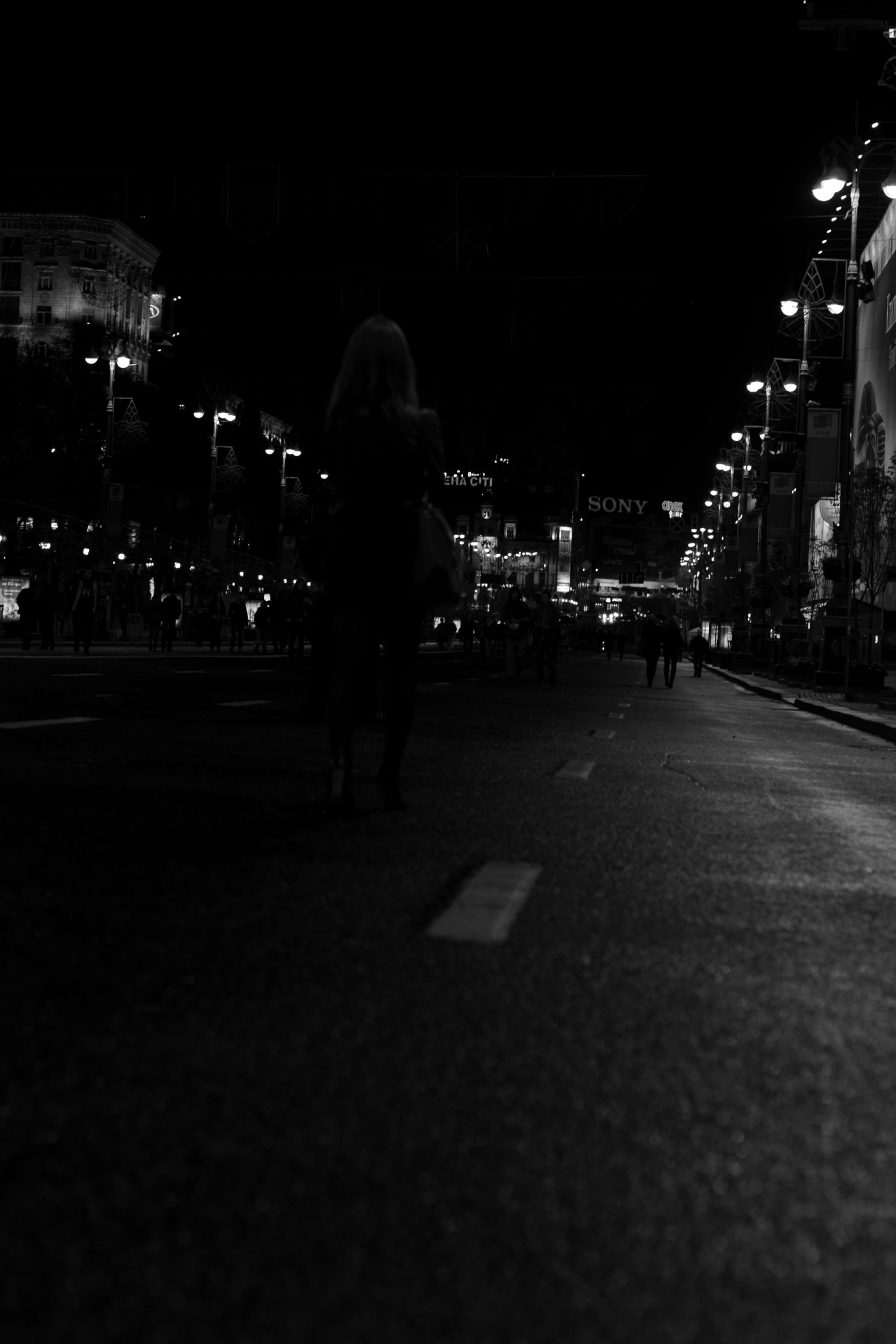 Sony Alpha DSLR-A500 + Sony 50mm F1.4 sample photo. City in bw photography