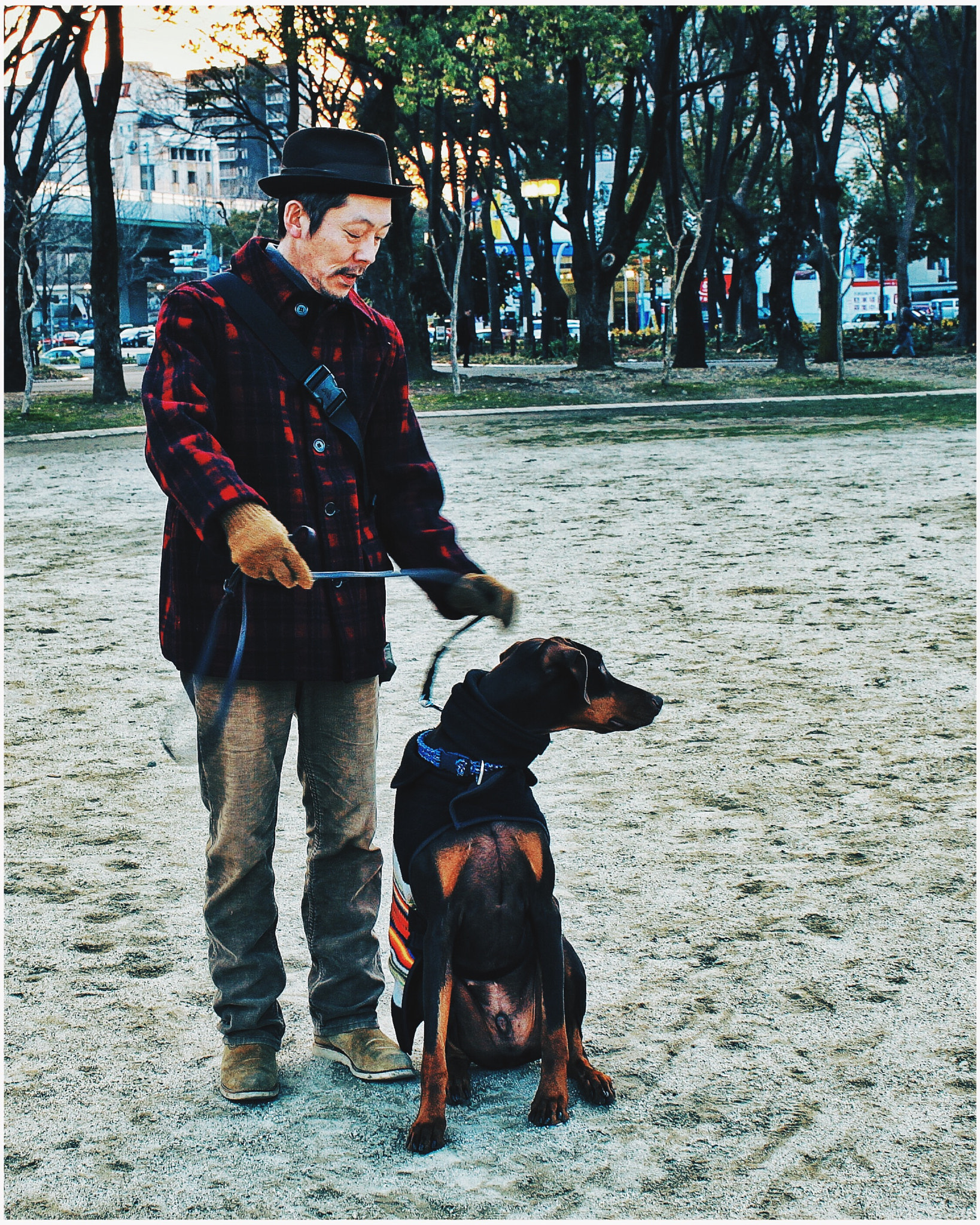 Canon EOS 500D (EOS Rebel T1i / EOS Kiss X3) sample photo. The best partner photography
