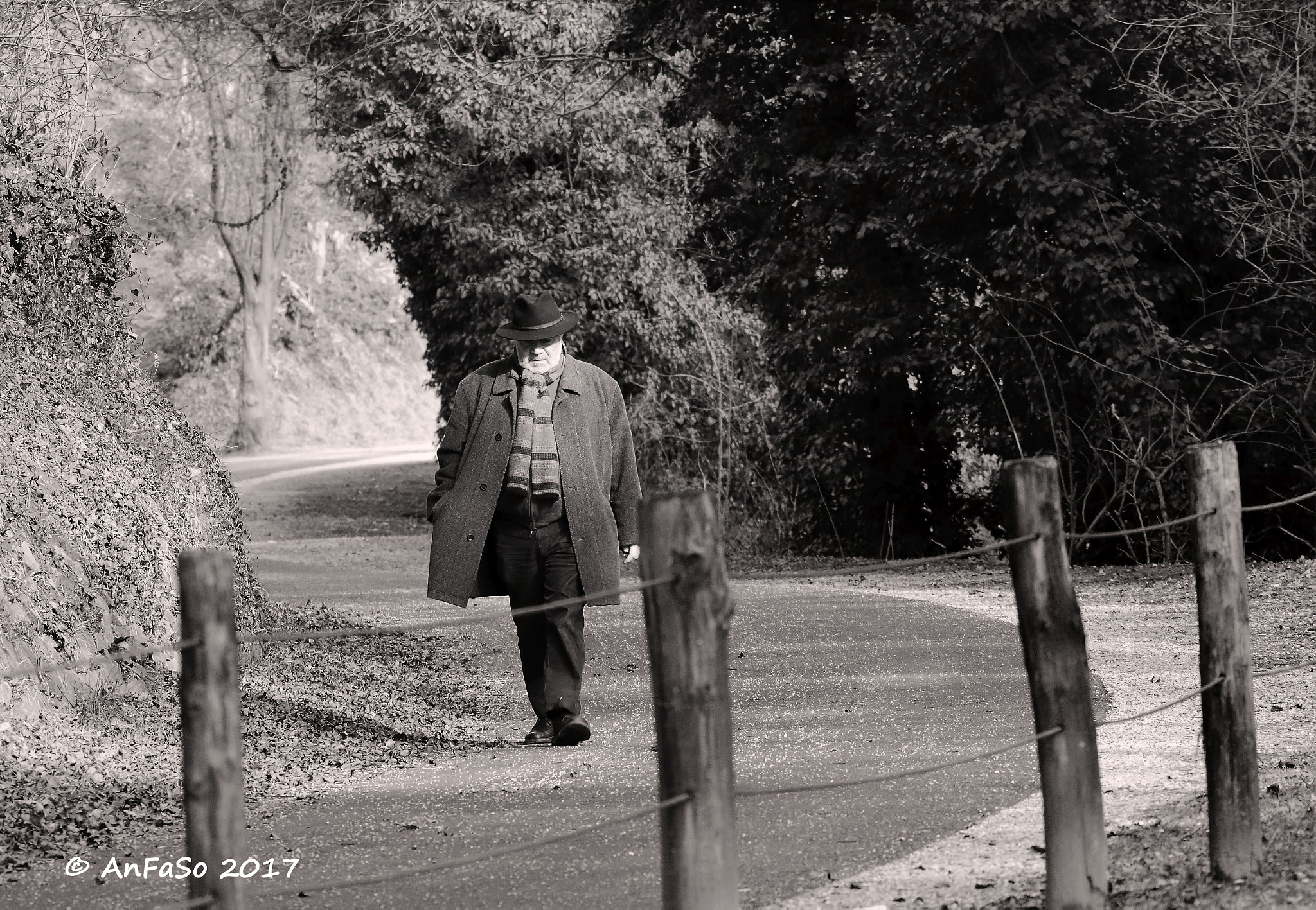 Sigma 150-600mm F5-6.3 DG OS HSM | S sample photo. Spaziergang in kaltern, bz photography