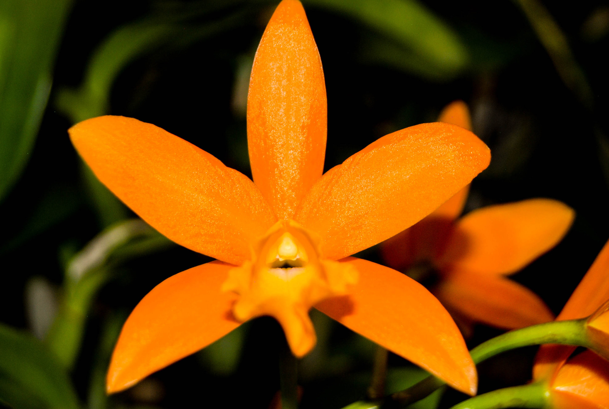 Nikon D80 sample photo
