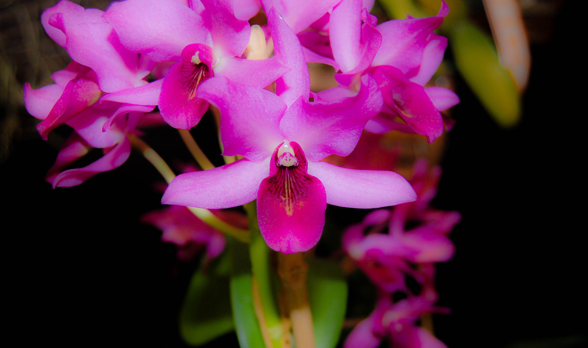 Nikon D80 sample photo