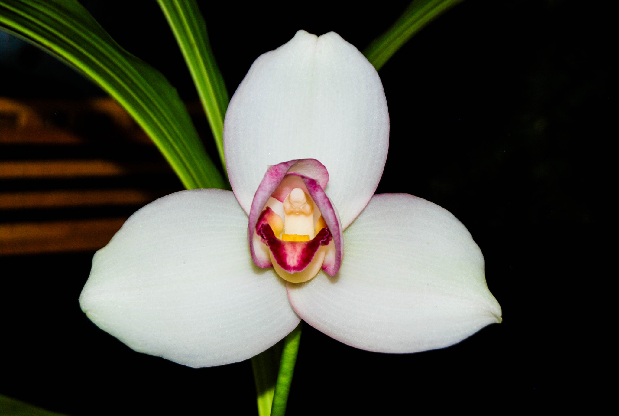 Nikon D80 sample photo