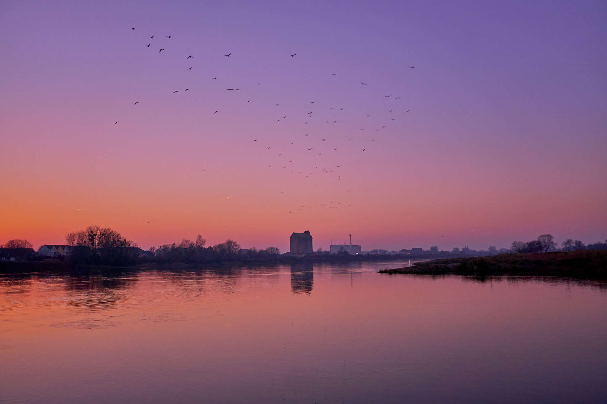 Sigma 19mm F2.8 EX DN sample photo. The birds and the warehouse photography