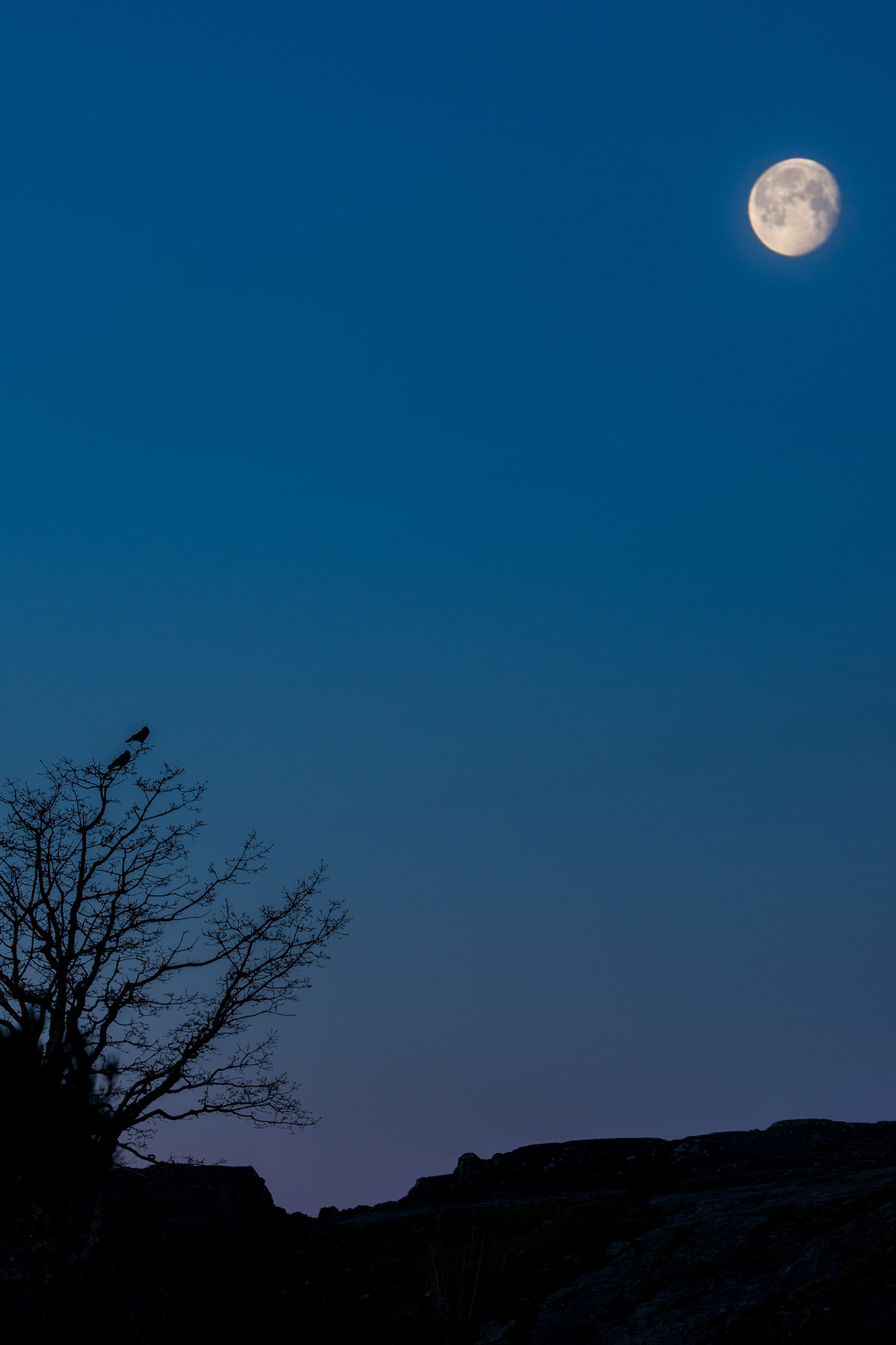 Tamron SP 70-200mm F2.8 Di VC USD sample photo. Moonset photography