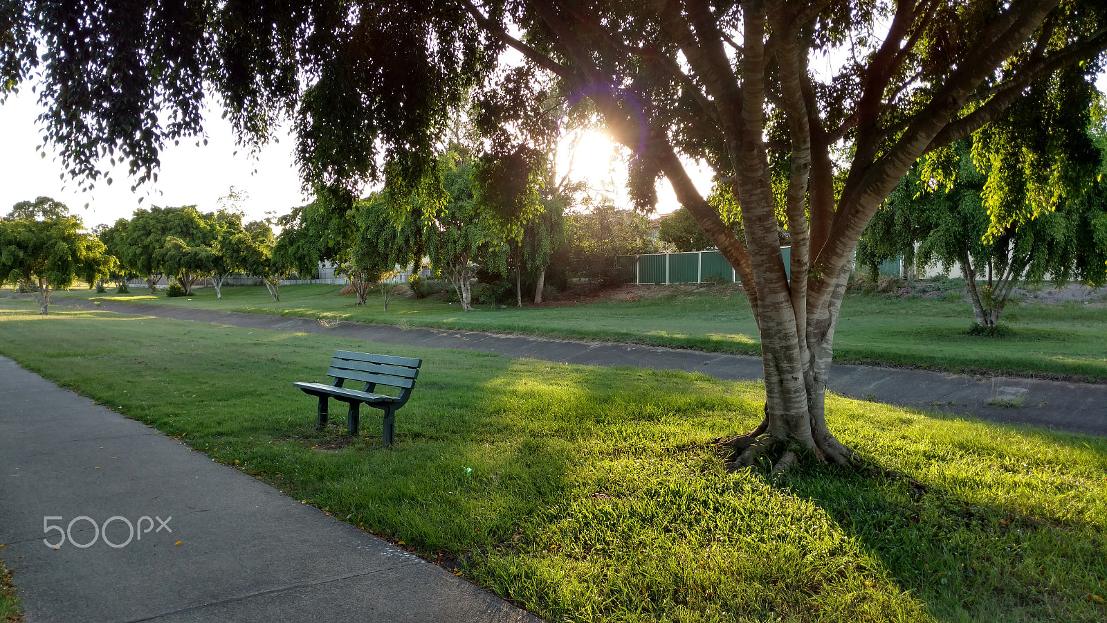 Motorola Moto X Style sample photo. Beautiful sunset in the park photography