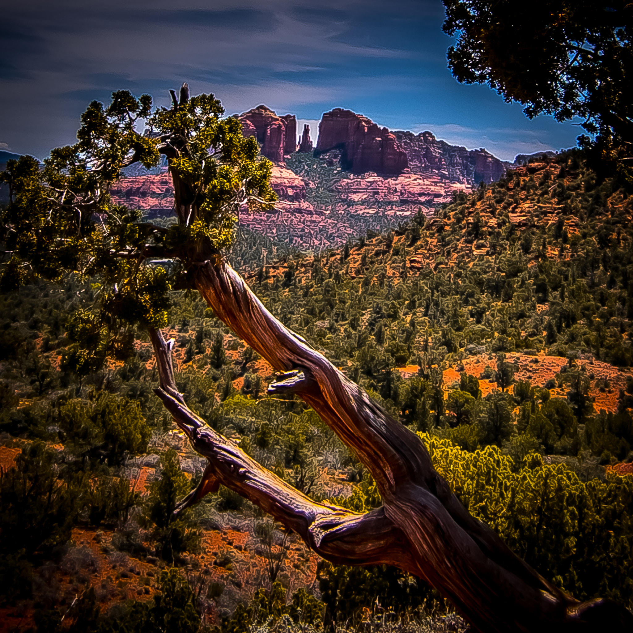 Nikon D5300 + Tokina AT-X Pro 11-16mm F2.8 DX II sample photo. Cathedral rock sedona photography