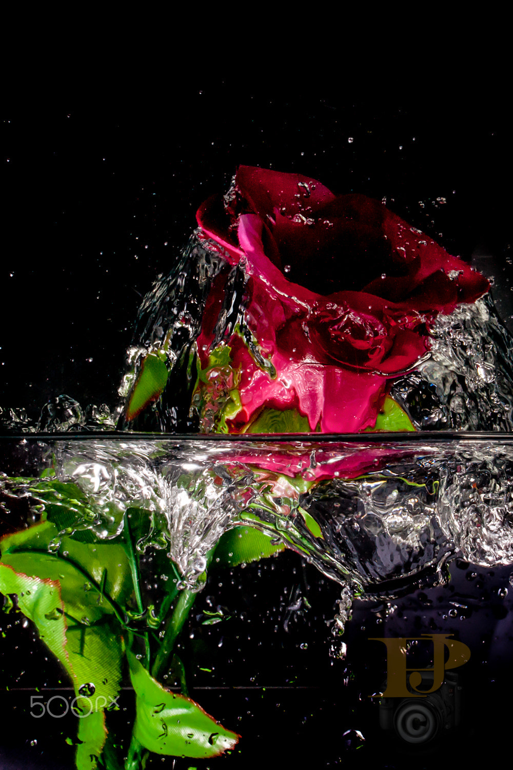 Sony Alpha DSLR-A900 sample photo. Rosagua photography
