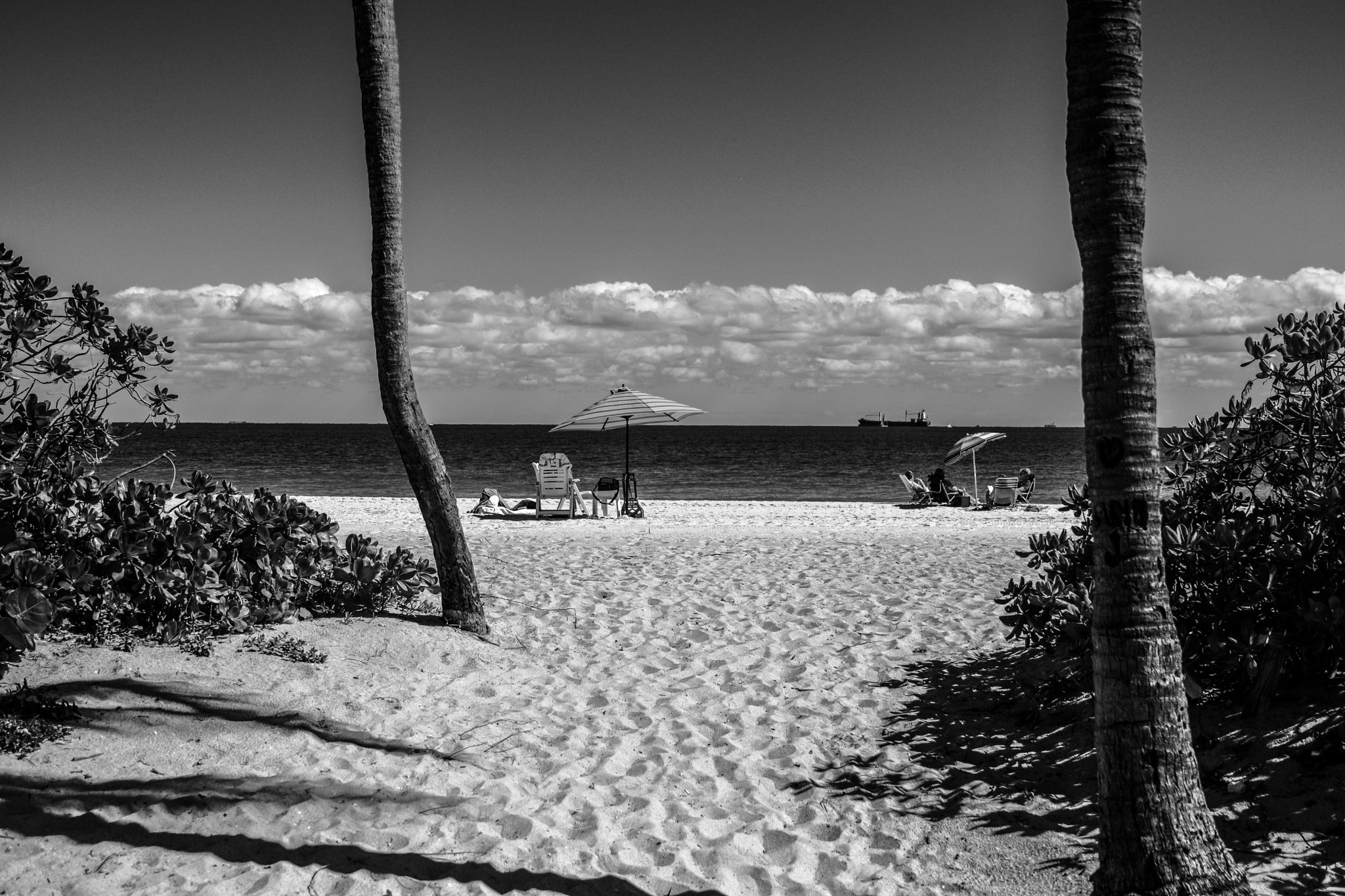 Fujifilm X-Pro2 + Fujifilm XF 16-55mm F2.8 R LM WR sample photo. Endless summer photography