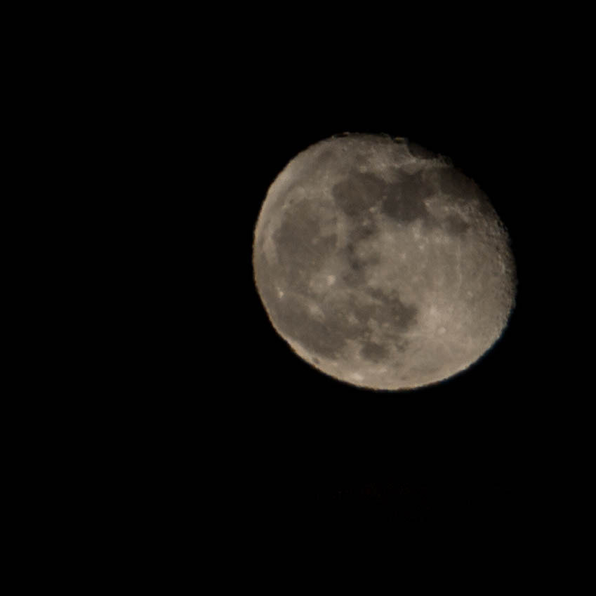 Canon EF 70-200mm F2.8L IS USM sample photo. Tungl photography