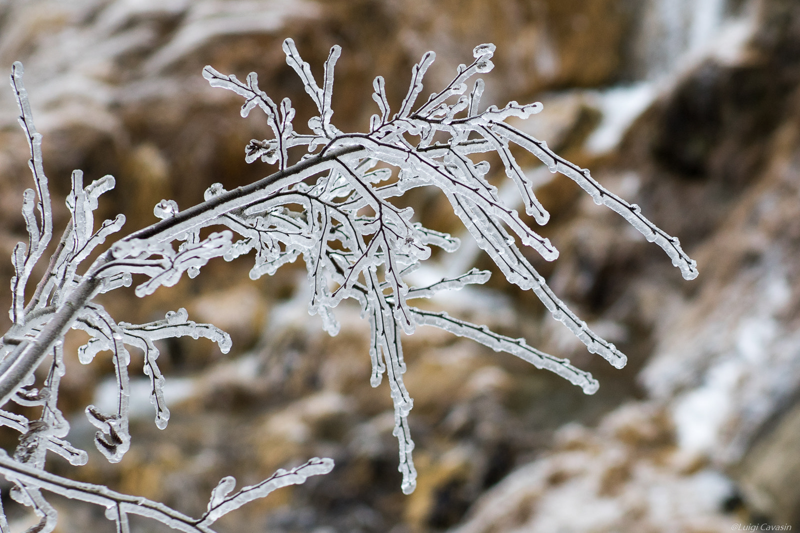 Sony a7 II + Sony DT 50mm F1.8 SAM sample photo. Not only ice photography
