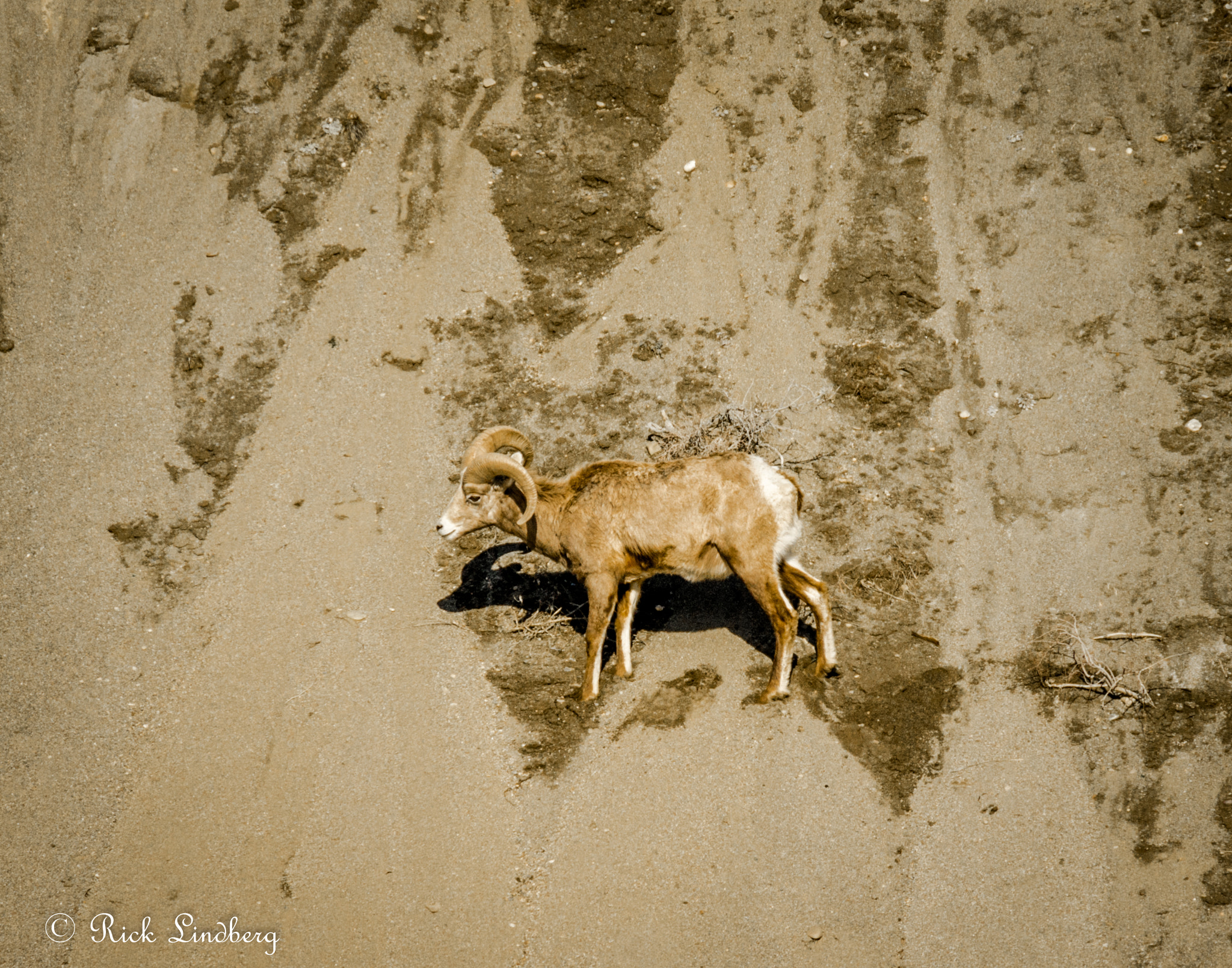 Pentax K-5 sample photo. Vertical descent photography
