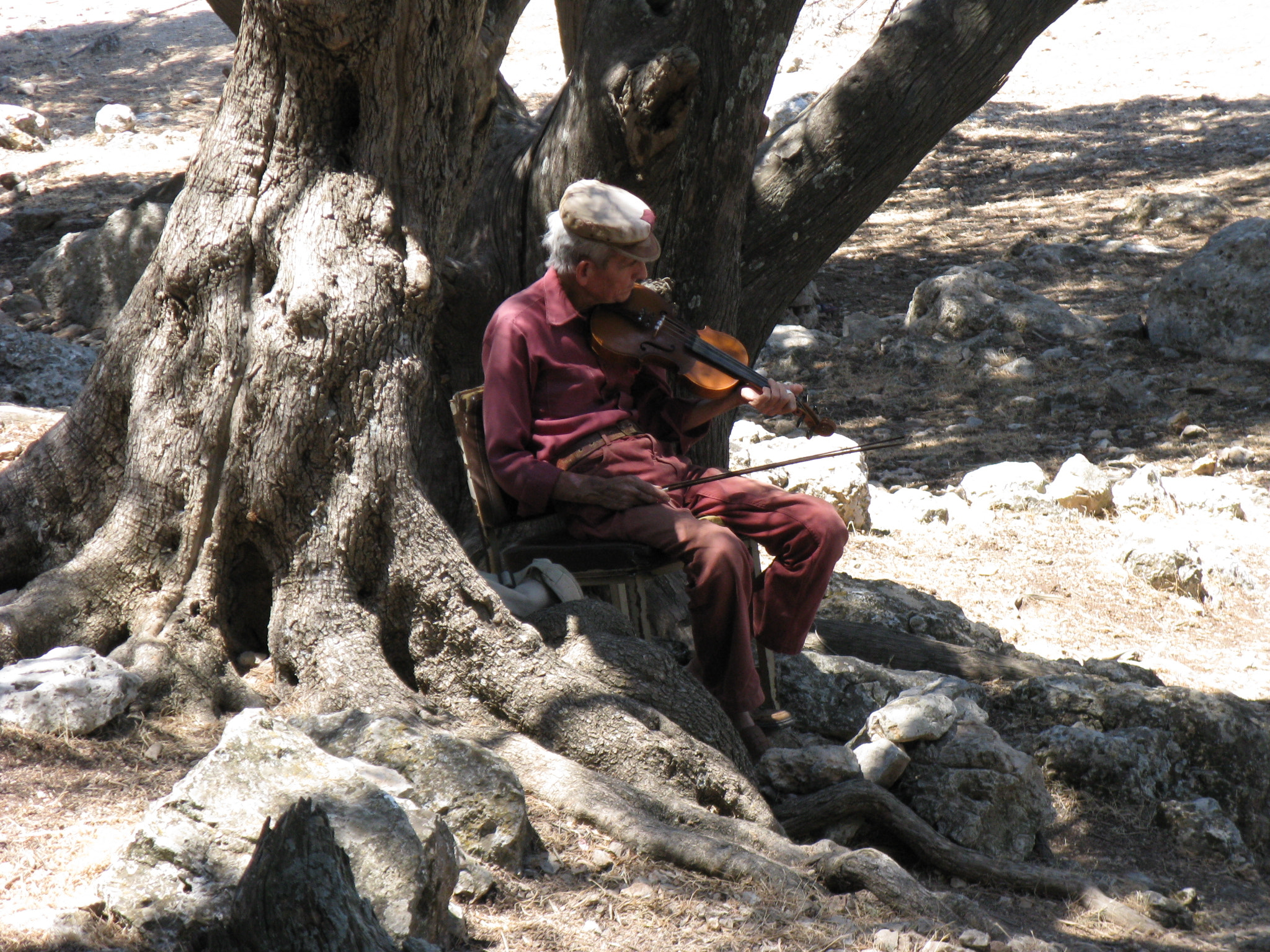 Canon POWERSHOT A720 IS sample photo. Old man playing for soul photography