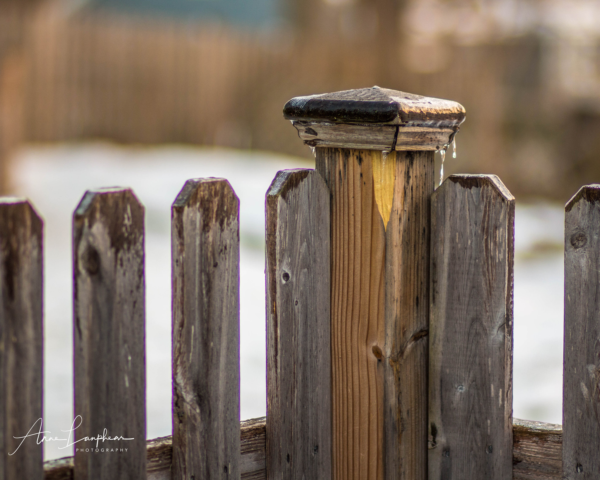 Canon EF 85mm F1.8 USM sample photo. Ice storm photography