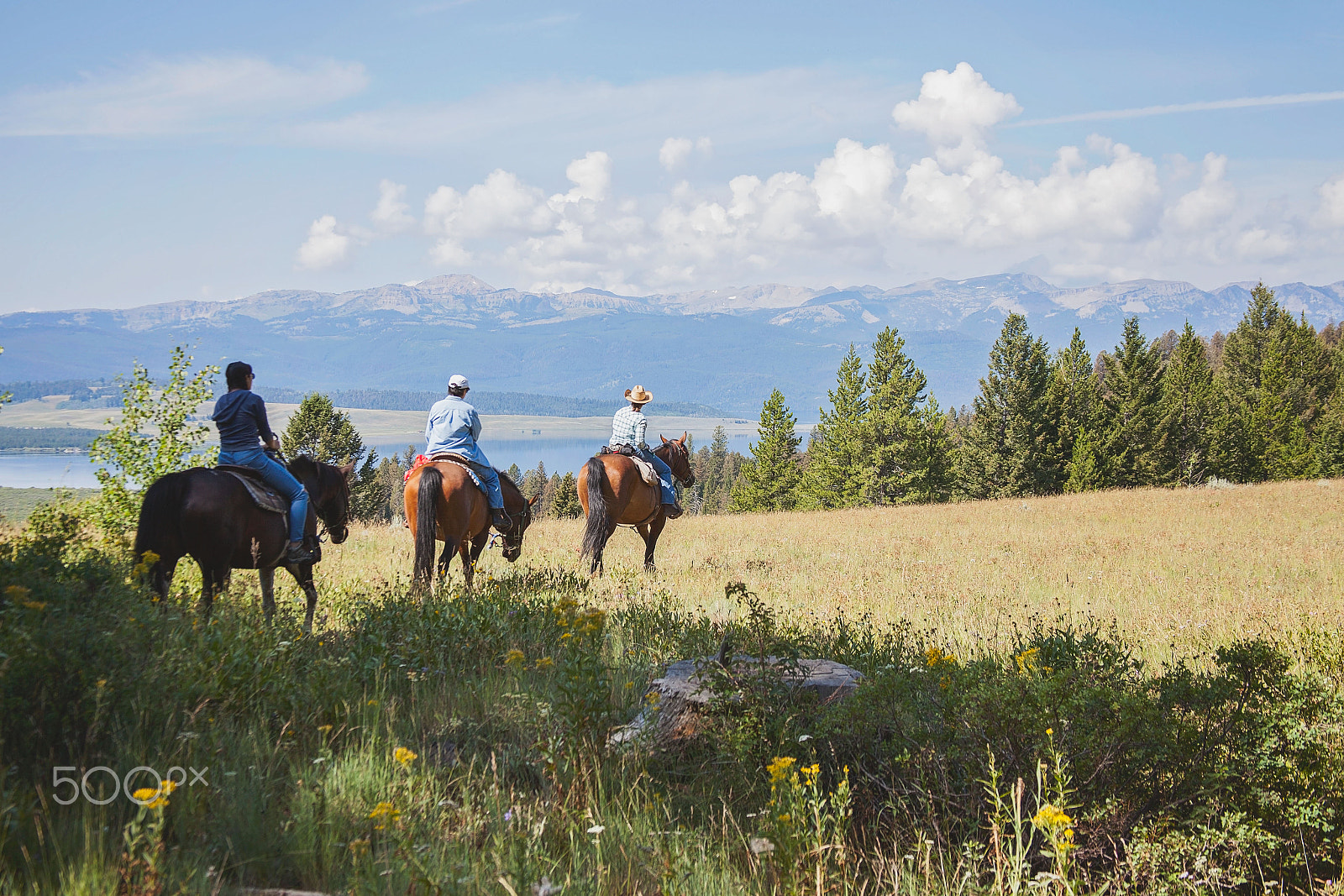 Canon EF 28-135mm F3.5-5.6 IS USM sample photo. Montana horseback riding photography