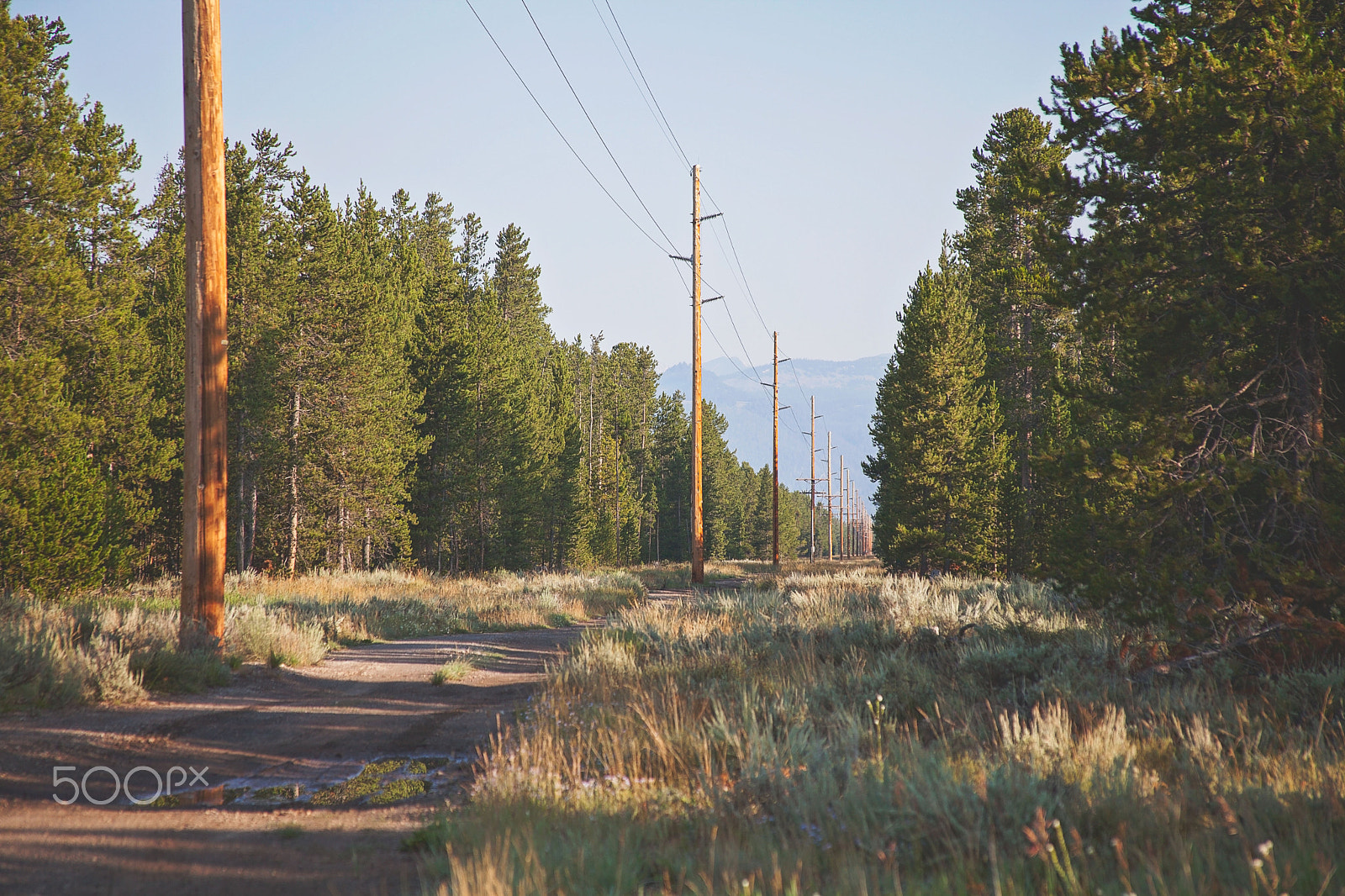 Canon EF 28-135mm F3.5-5.6 IS USM sample photo. West yellowstone trail photography