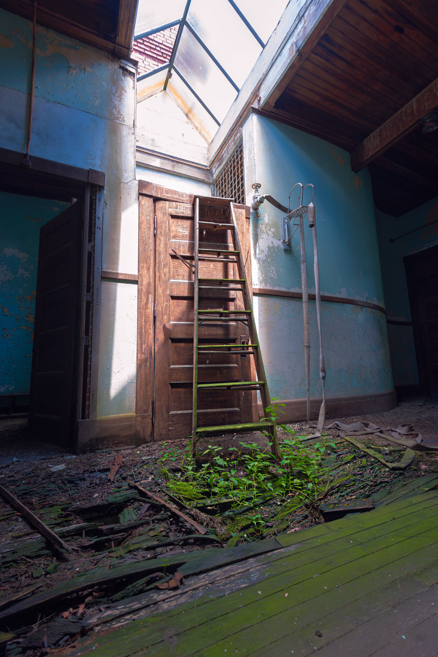 Nikon D3X sample photo. The great escape photography