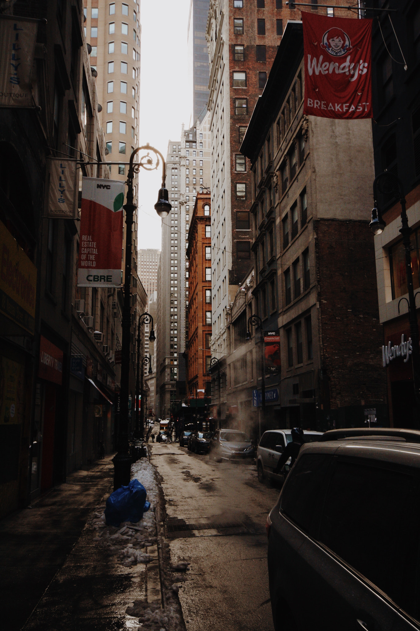 Canon EOS 1000D (EOS Digital Rebel XS / EOS Kiss F) sample photo. Lower manhattan,nyc. photography