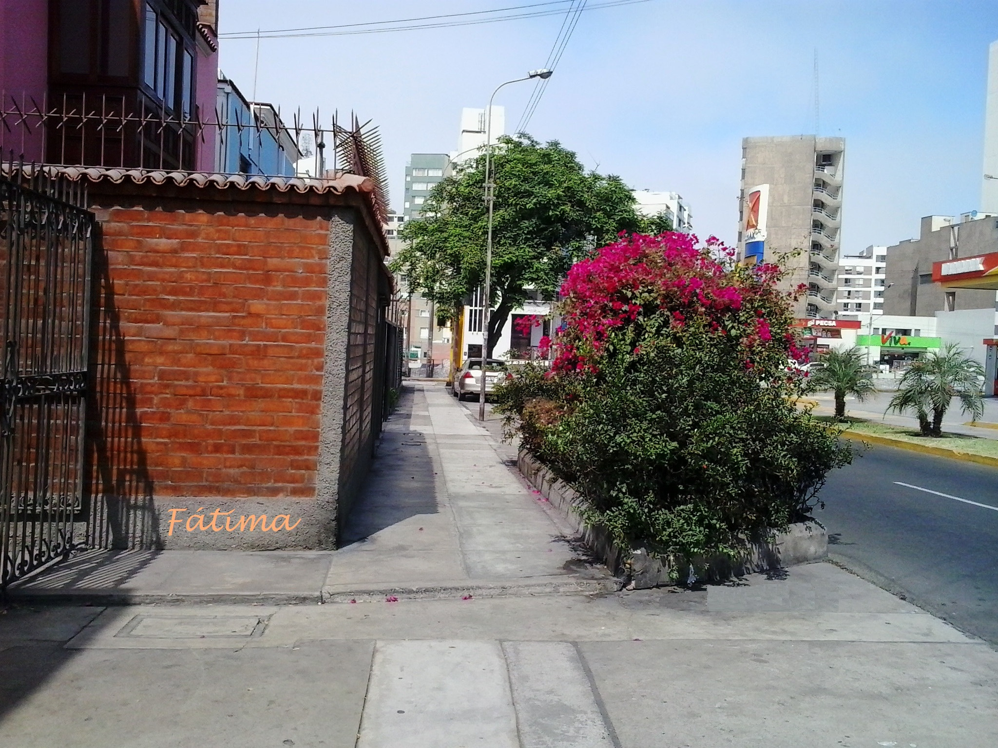 Samsung Galaxy Music Duos sample photo. Un camino por la calle olcay photography