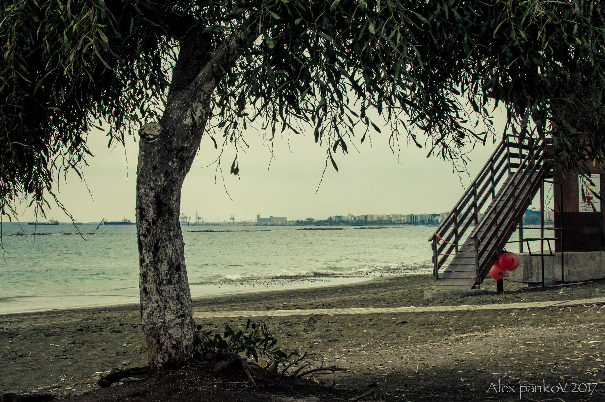 Nikon D3 sample photo. Cyprus winter photography